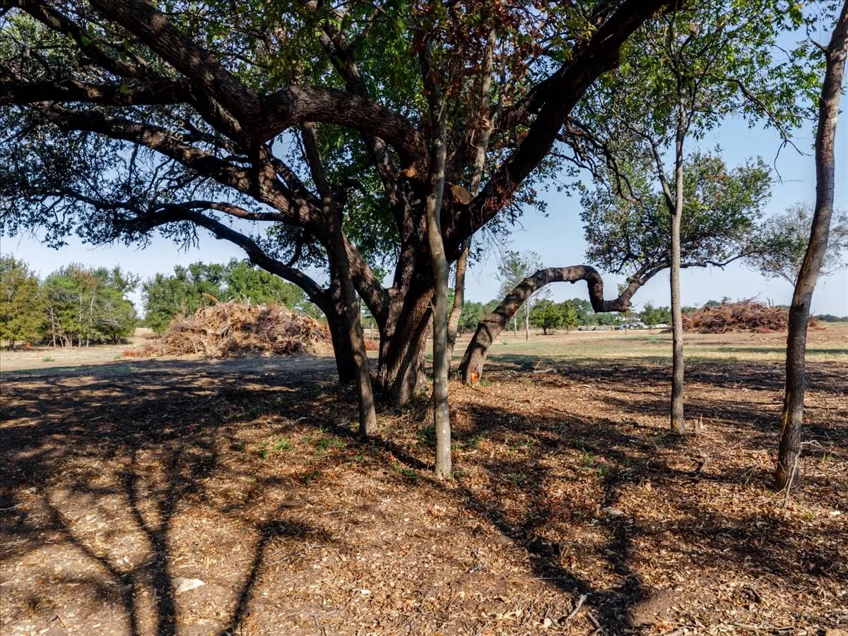 Ranch For Sale in Palo Pinto County , 2768 Live Oak Road, Lipan, Texas 76472, 0, 0, Garage spaces, 0 Sqft, built in 0, mls#21392816, Real Estate Agent in Lipan, Homes For Sale in Palo Pinto county, Homes For Sale in Lipan, Realtor in Lipan Texas, Real Estate Brokerage Independent Realty Texas, Luminita Cordes Realtor