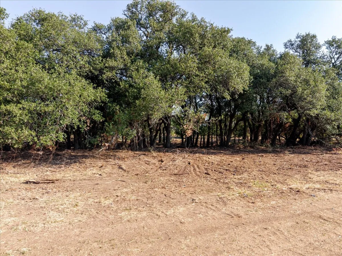 Ranch For Sale in Palo Pinto County , 2768 Live Oak Road, Lipan, Texas 76472, 0, 0, Garage spaces, 0 Sqft, built in 0, mls#21392816, Real Estate Agent in Lipan, Homes For Sale in Palo Pinto county, Homes For Sale in Lipan, Realtor in Lipan Texas, Real Estate Brokerage Independent Realty Texas, Luminita Cordes Realtor