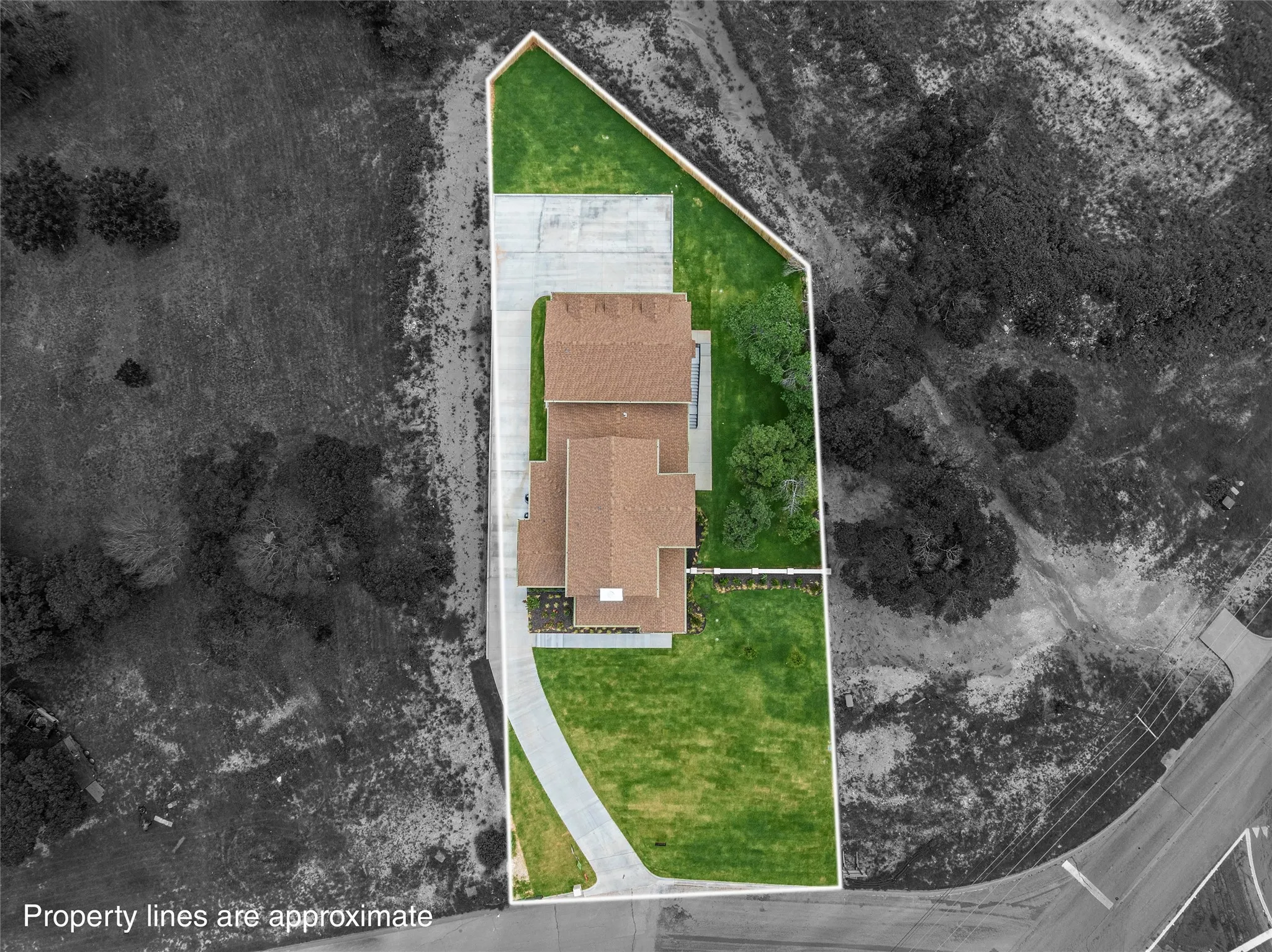 Expansive lot with a large residential structure, featuring a substantial green lawn, concrete driveway, and mature trees