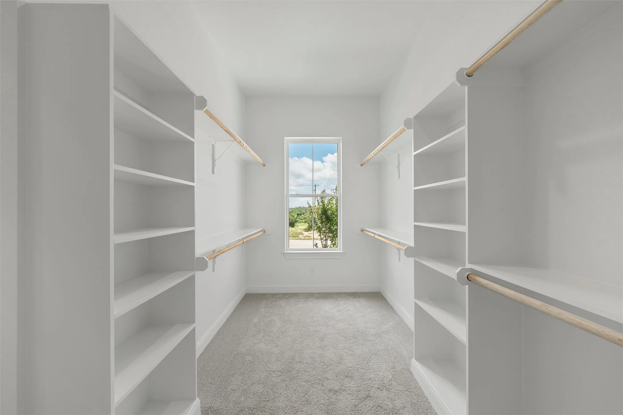 Walk-in closet with carpet flooring, built-in shelving, and wood-finish hanging rods
