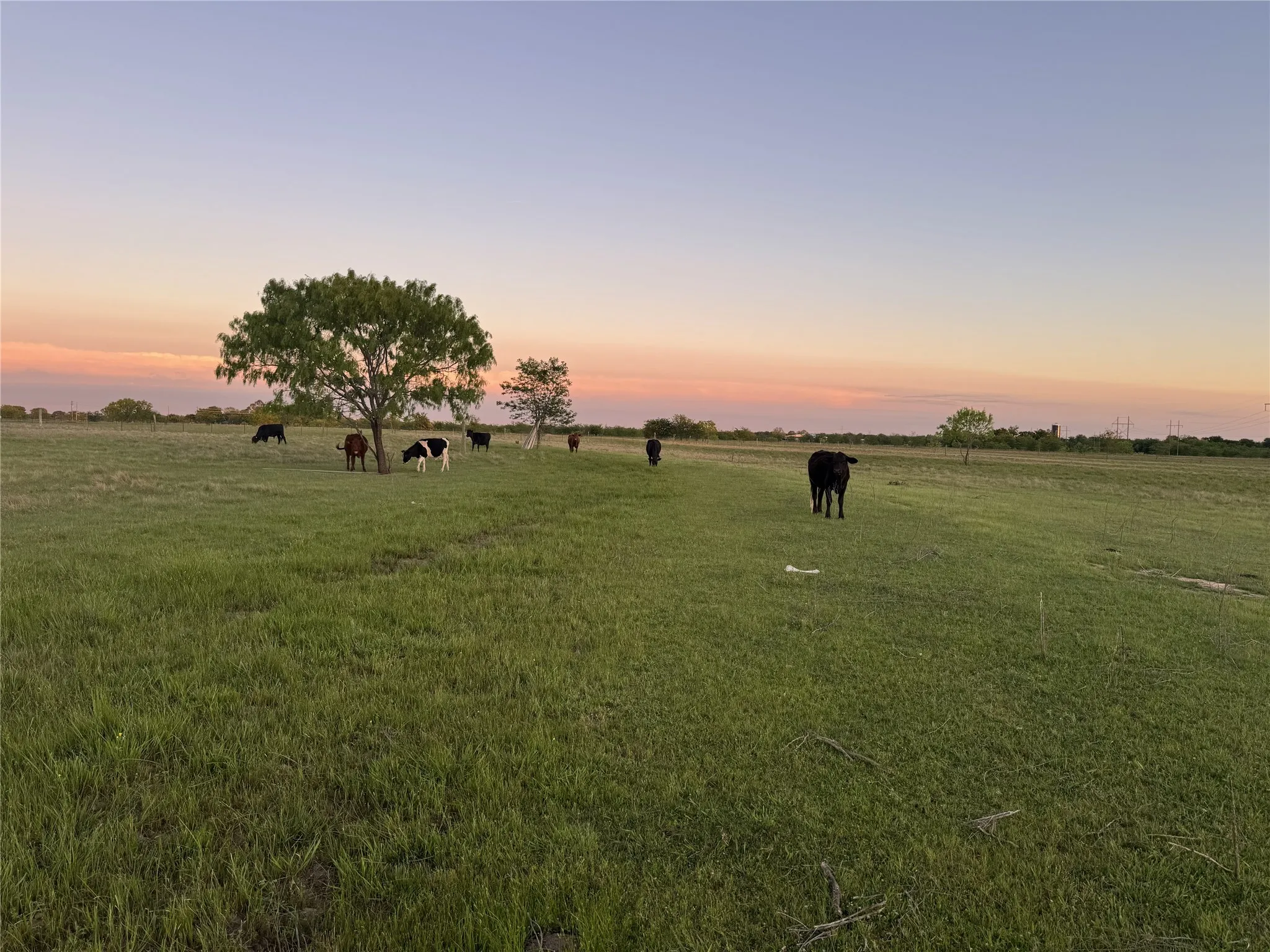 Unimproved Land For Sale in Van Zandt County , 3132 Vz County Road 3808, Wills Point, Texas 75169, 0, 0, Garage spaces, 0 Sqft, built in 0, mls#21391315, Real Estate Agent in Wills Point, Homes For Sale in Van Zandt county, Homes For Sale in Wills Point, Realtor in Wills Point Texas, Real Estate Brokerage Independent Realty Texas, Luminita Cordes Realtor