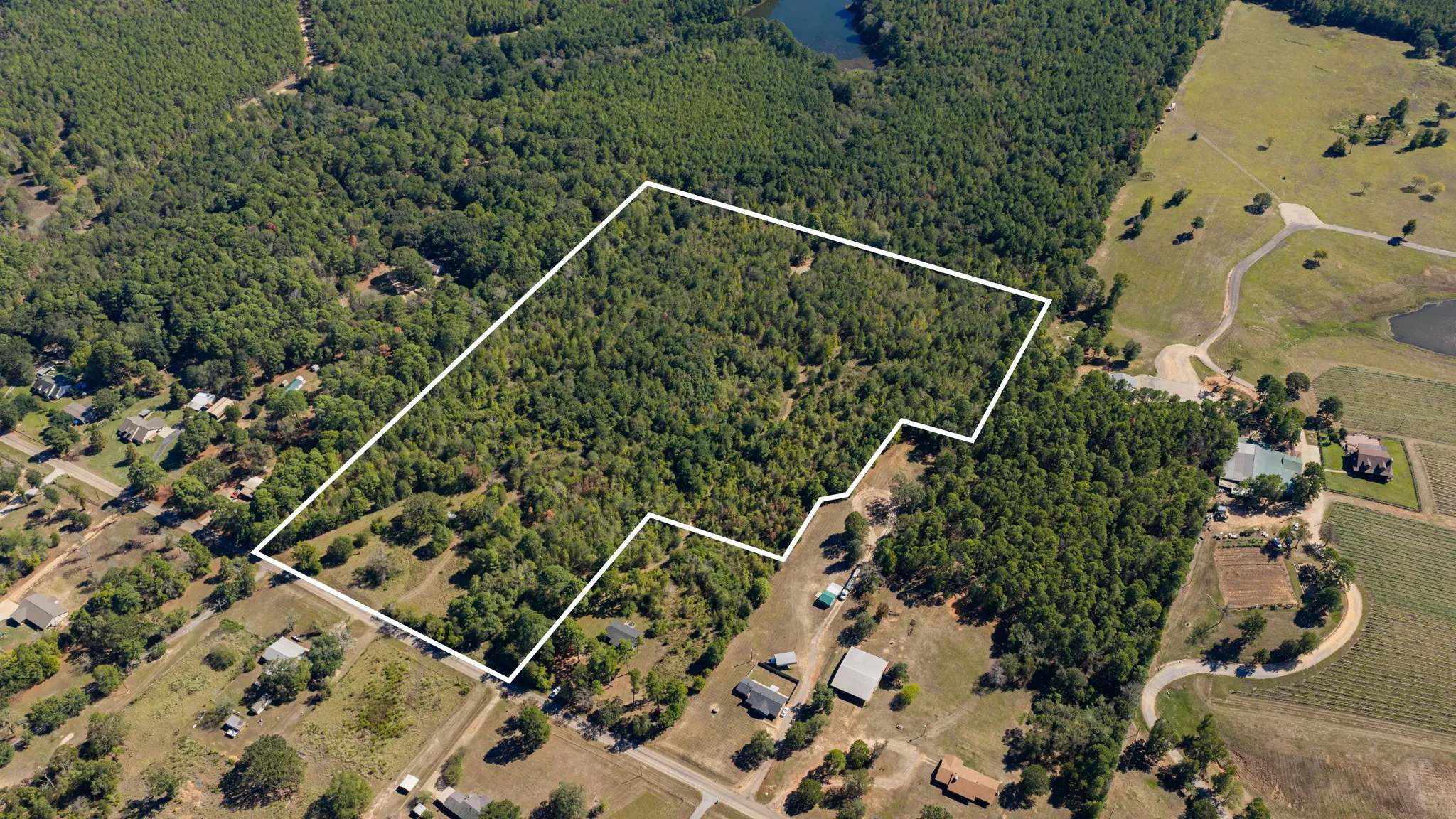 Expansive wooded property with defined boundaries