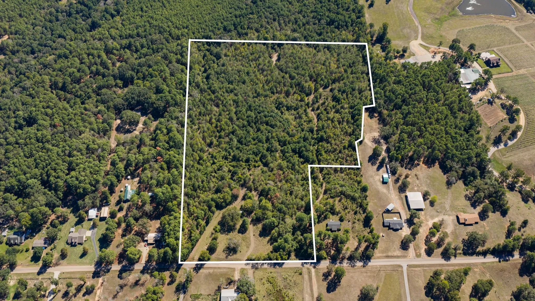 Expansive wooded acreage featuring diverse tree coverage and multiple clearings