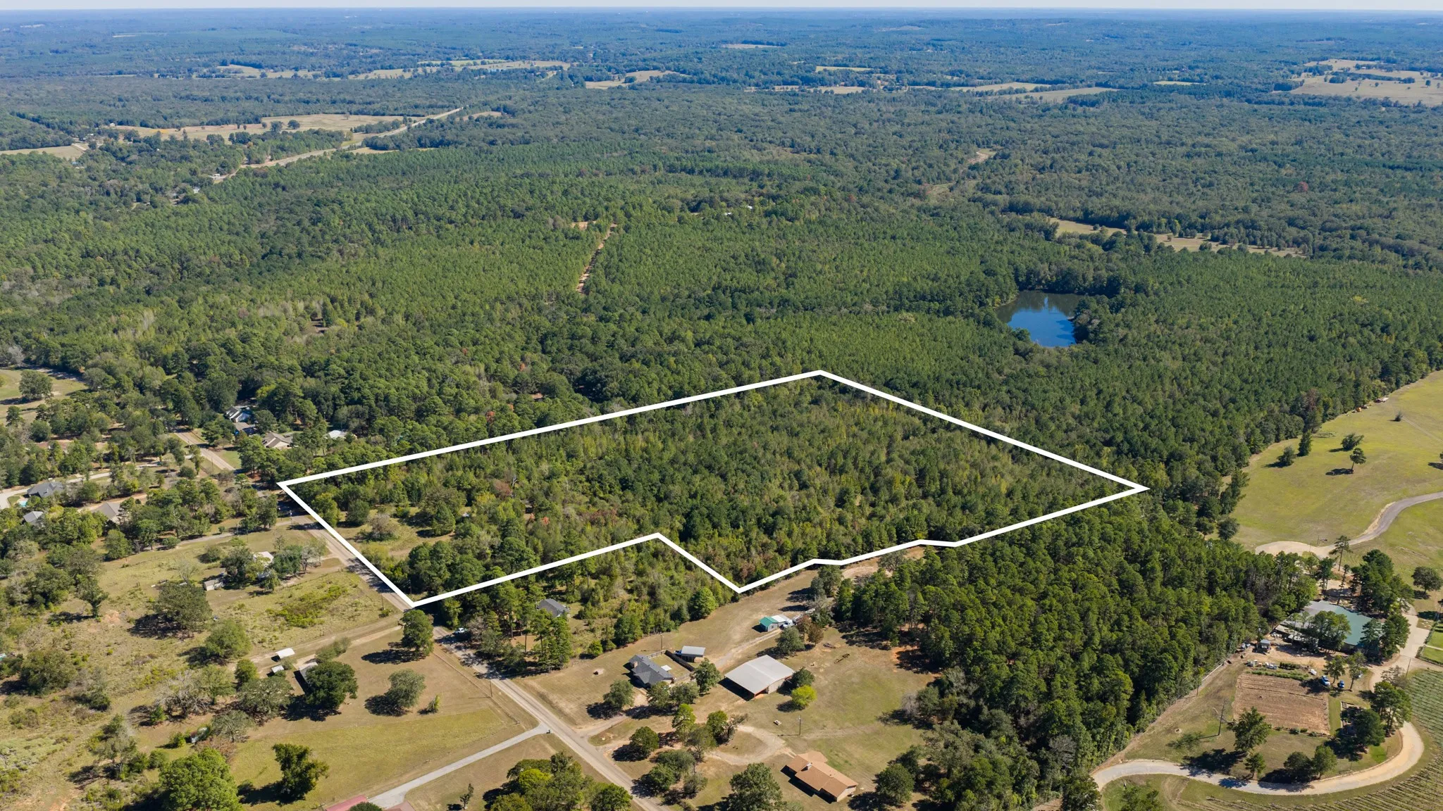 Expansive wooded acreage featuring mature trees and a natural water body