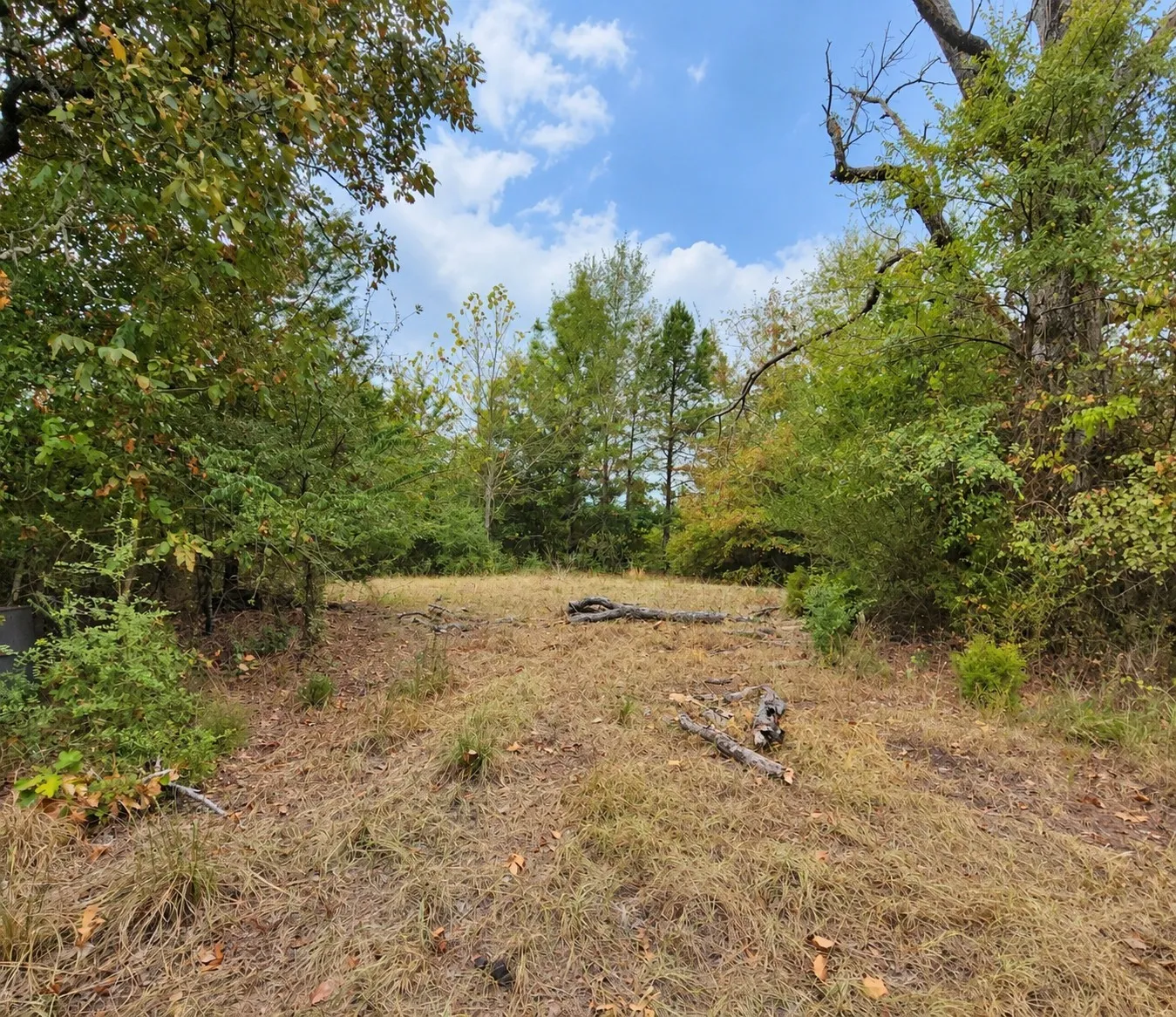 Cleared central area surrounded by mature trees