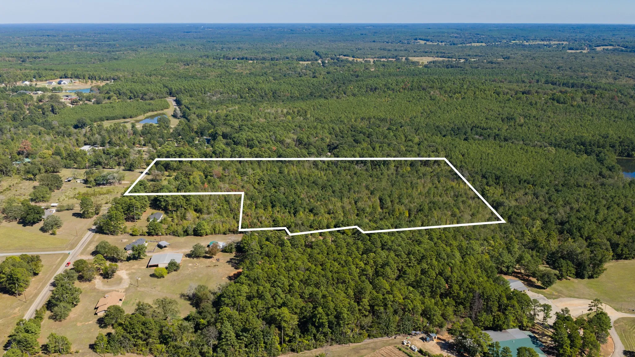 Expansive wooded parcel featuring mature trees and clear boundaries