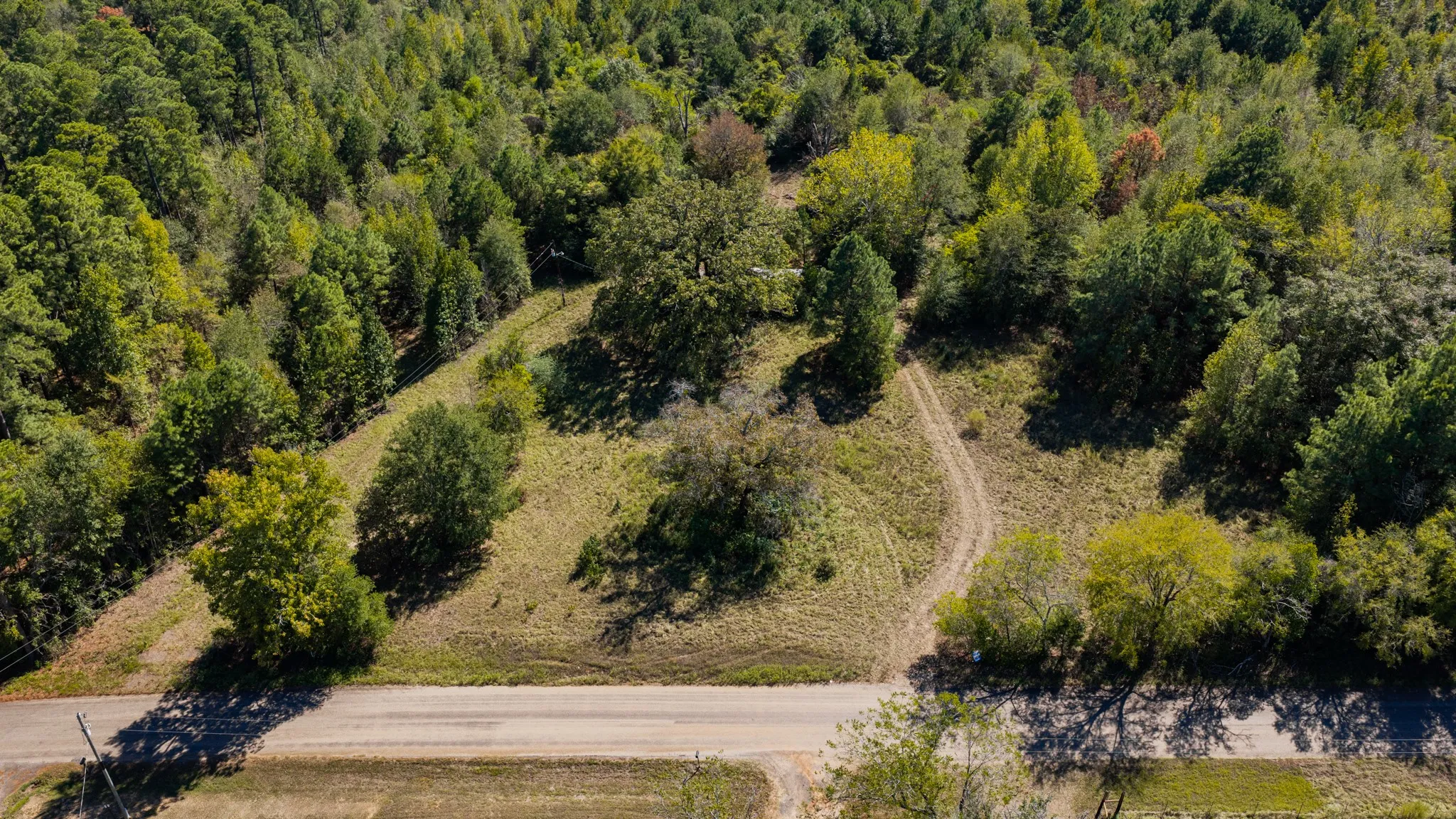 Improved Land For Sale in Harrison County , 0 Ferguson Road, Harleton, Texas 75651, 0, 0, Garage spaces, 0 Sqft, built in 0, mls#21393352, Real Estate Agent in Harleton, Homes For Sale in Harrison county, Homes For Sale in Harleton, Realtor in Harleton Texas, Real Estate Brokerage Independent Realty Texas, Luminita Cordes Realtor