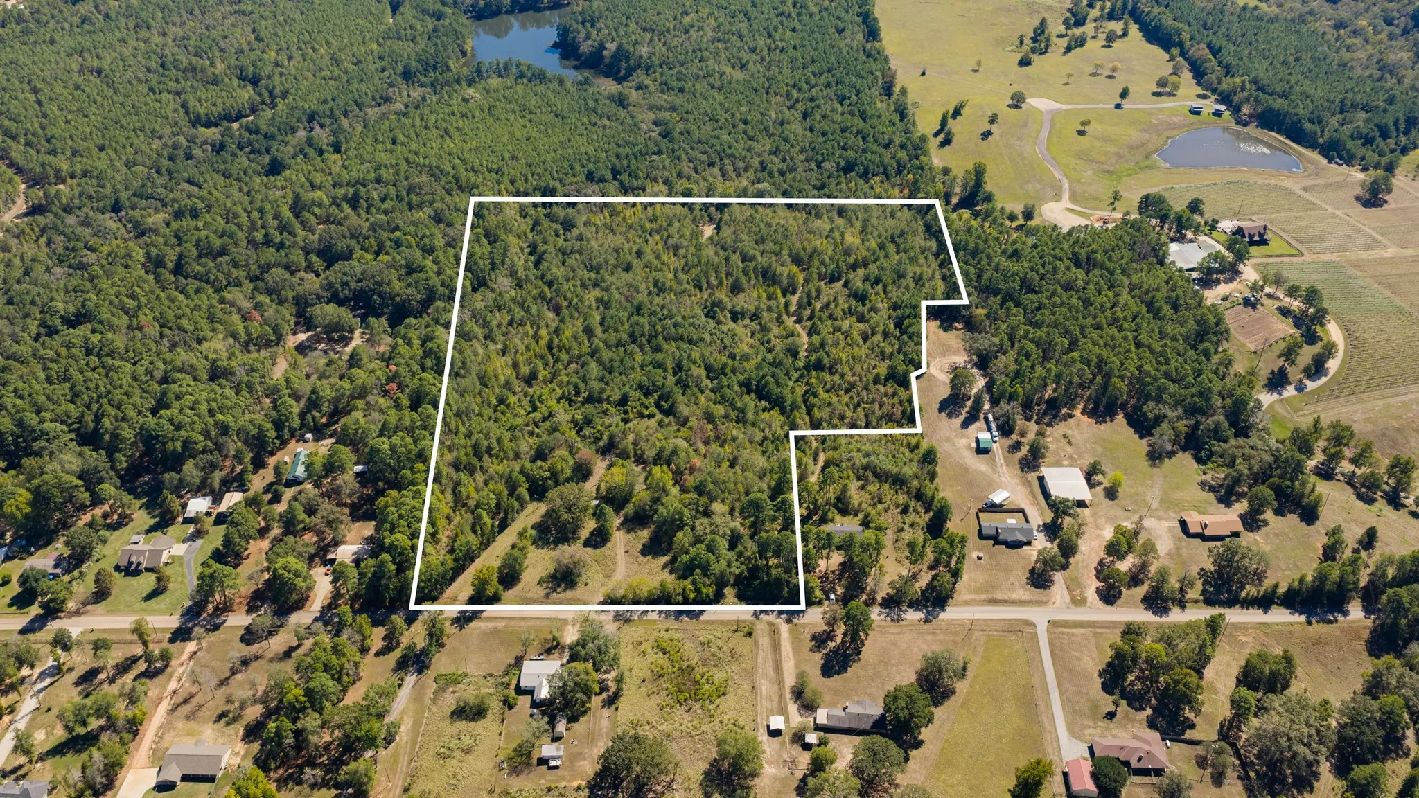 Expansive wooded acreage featuring diverse tree coverage and a defined property boundary