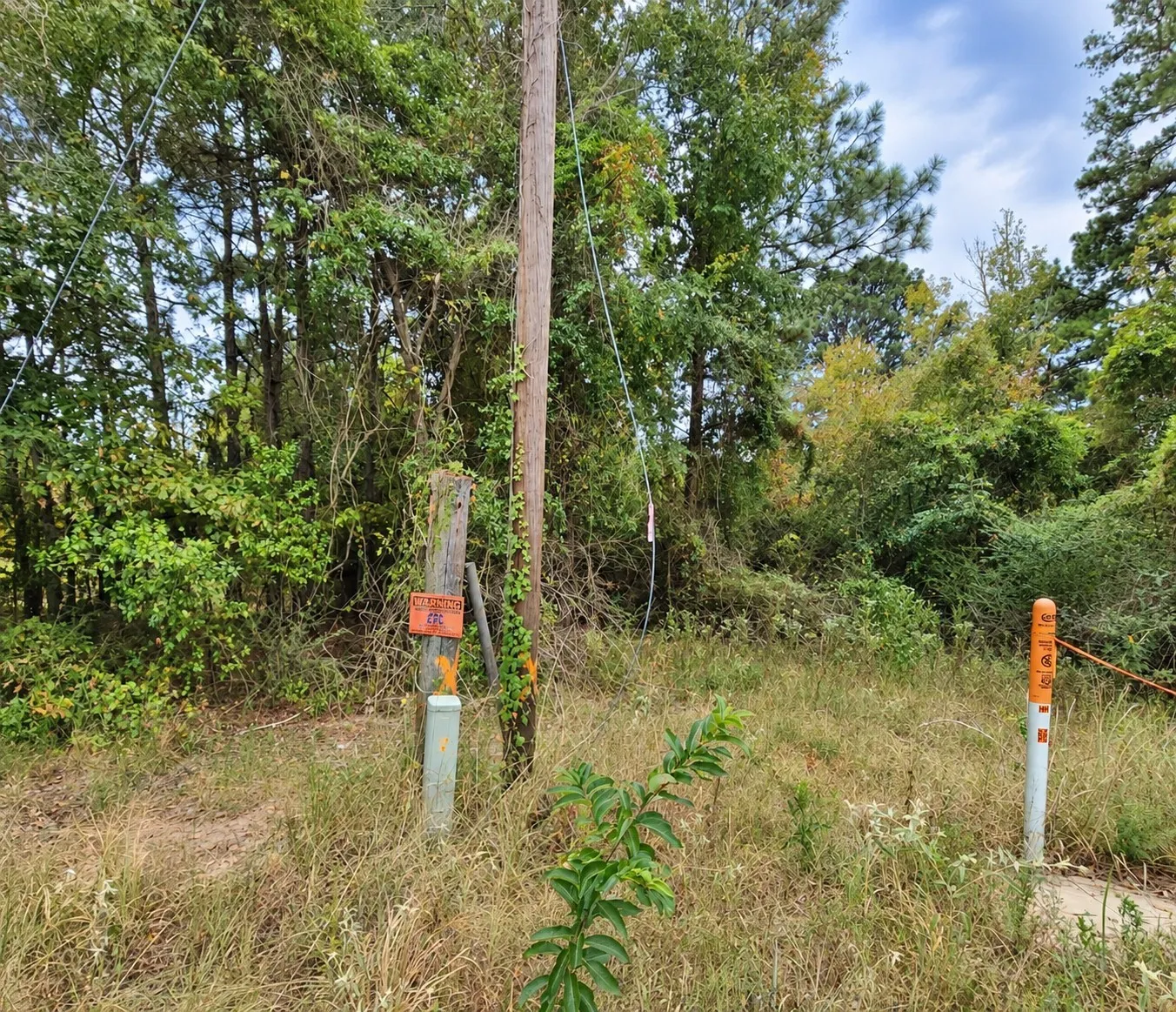 Improved Land For Sale in Harrison County , 0 Ferguson Road, Harleton, Texas 75651, 0, 0, Garage spaces, 0 Sqft, built in 0, mls#21393352, Real Estate Agent in Harleton, Homes For Sale in Harrison county, Homes For Sale in Harleton, Realtor in Harleton Texas, Real Estate Brokerage Independent Realty Texas, Luminita Cordes Realtor