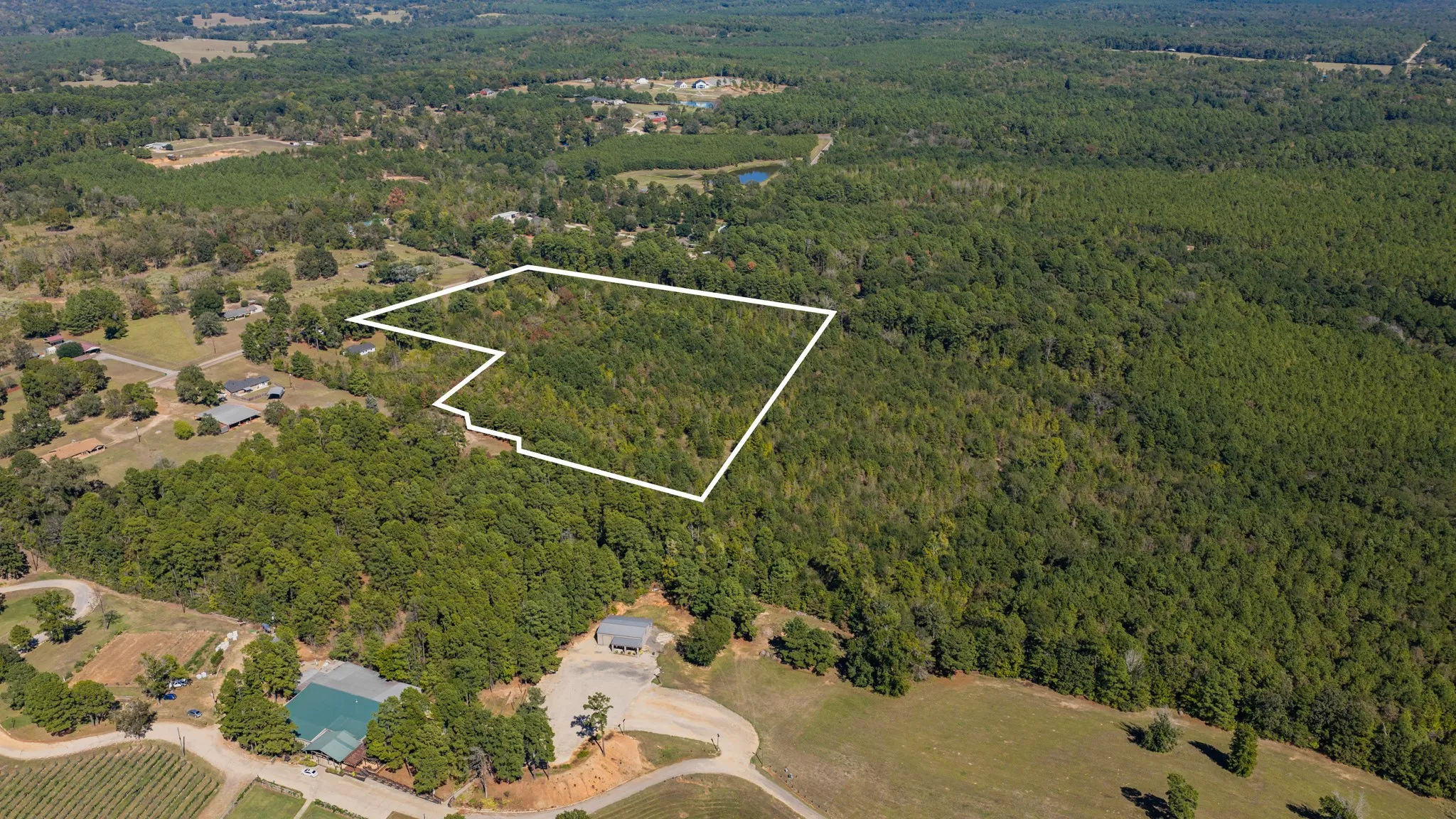 Expansive wooded acreage outlined by a white boundary, featuring varied tree coverage and a visible pond in the background