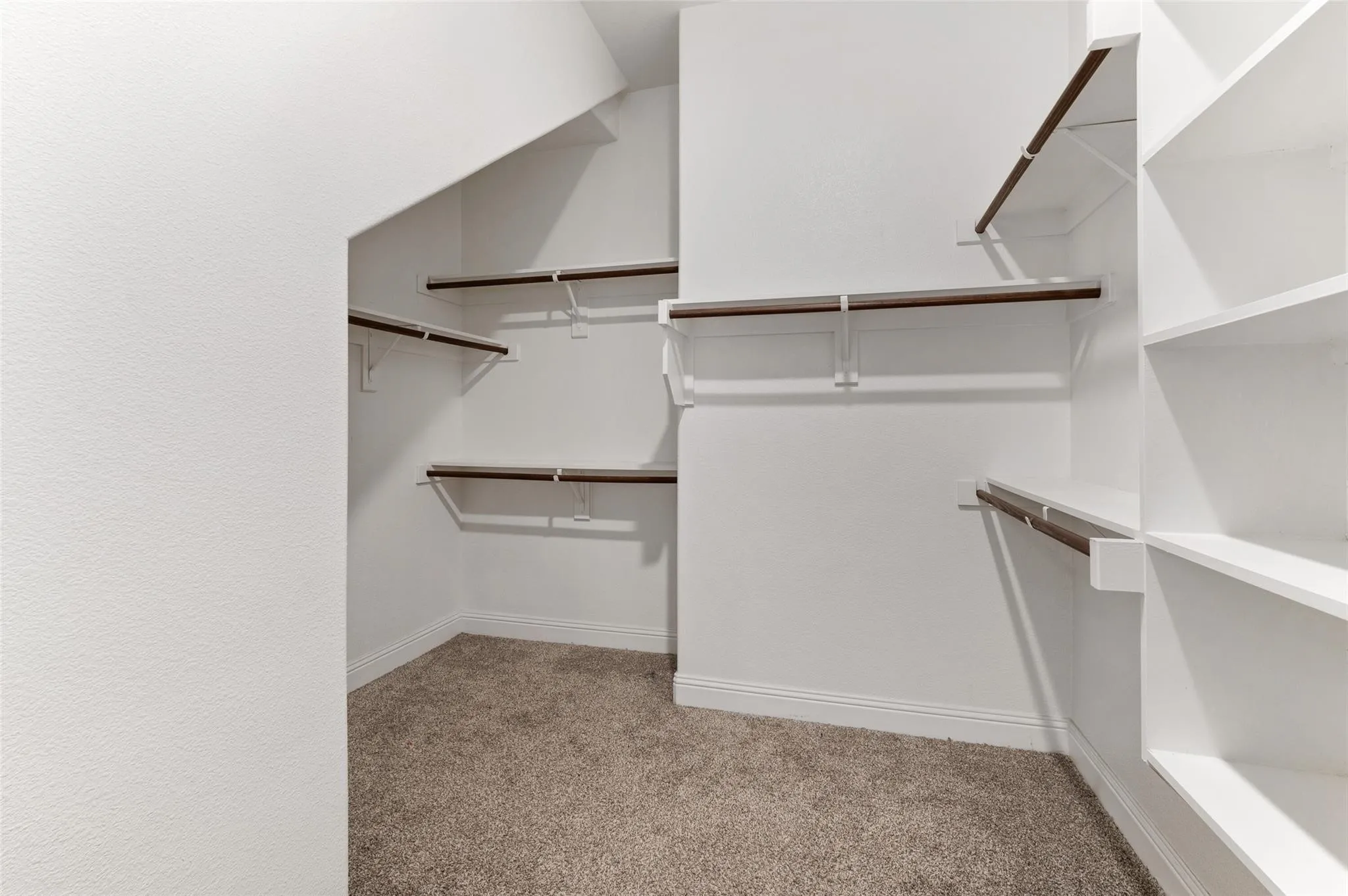 Carpeted walk-in closet featuring white walls, multiple hanging rods, and integrated shelving units