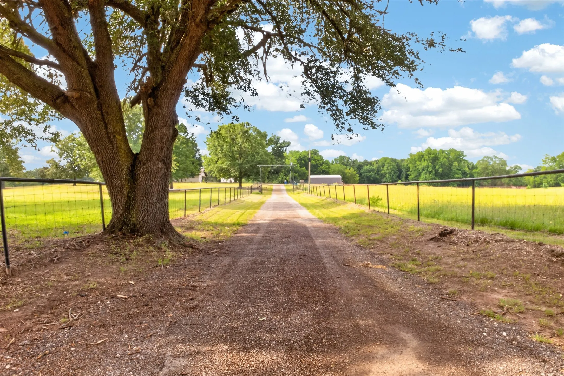 Single Family Residence For Sale in Upshur County , 3690 FM 49, Gilmer, Texas 75644, 4 Bedroom, 3 Bathroom, Garage spaces, 2,340 Sqft, built in 0, mls#21386268, Real Estate Agent in Gilmer, Homes For Sale in Upshur county, Homes For Sale in Gilmer, Realtor in Gilmer Texas, Real Estate Brokerage Independent Realty Texas, Luminita Cordes Realtor