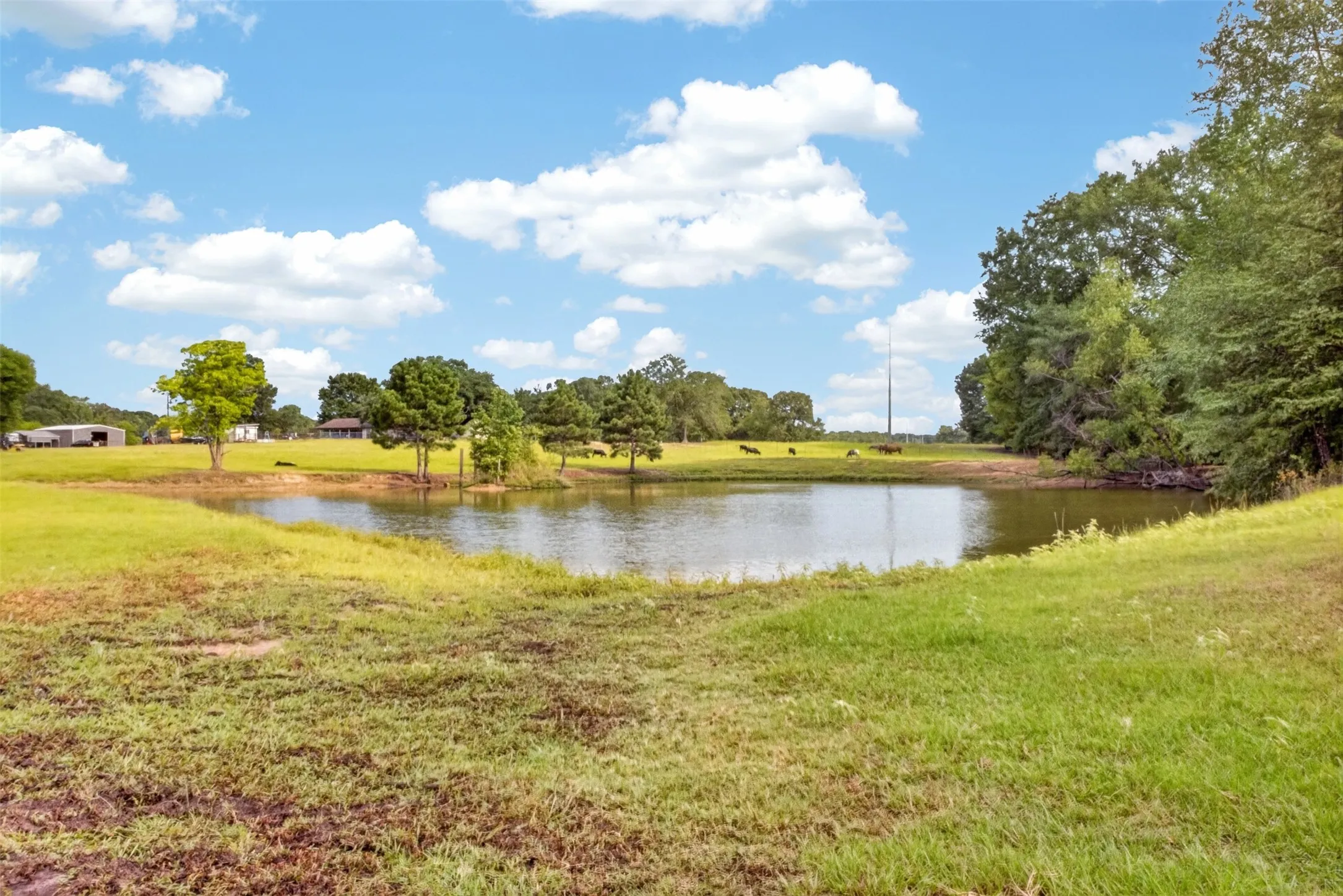 Single Family Residence For Sale in Upshur County , 3690 FM 49, Gilmer, Texas 75644, 4 Bedroom, 3 Bathroom, Garage spaces, 2,340 Sqft, built in 0, mls#21386268, Real Estate Agent in Gilmer, Homes For Sale in Upshur county, Homes For Sale in Gilmer, Realtor in Gilmer Texas, Real Estate Brokerage Independent Realty Texas, Luminita Cordes Realtor
