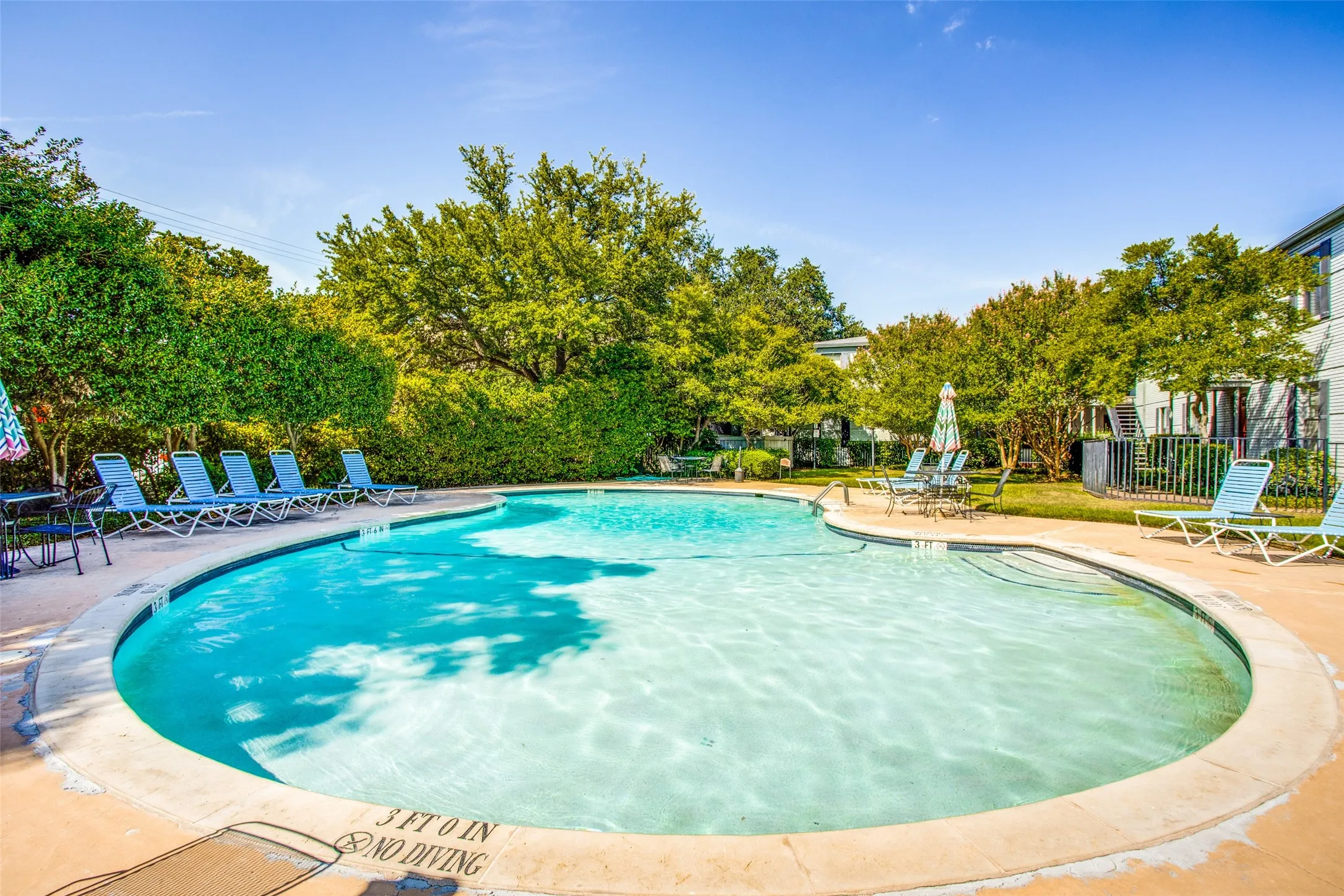 Kidney-shaped swimming pool with a concrete surround