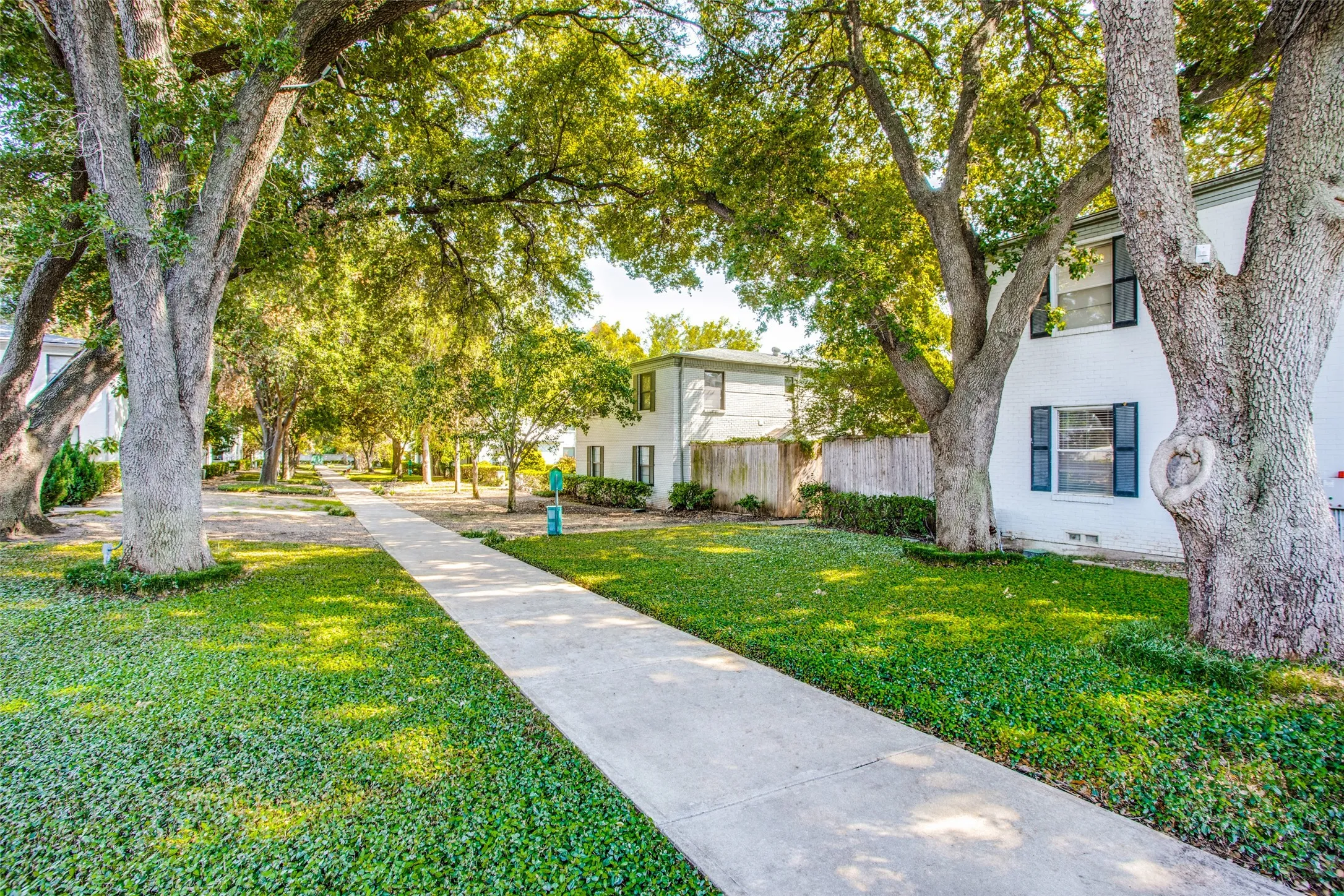 Shaded sidewalk featuring mature trees and manicured lawn
