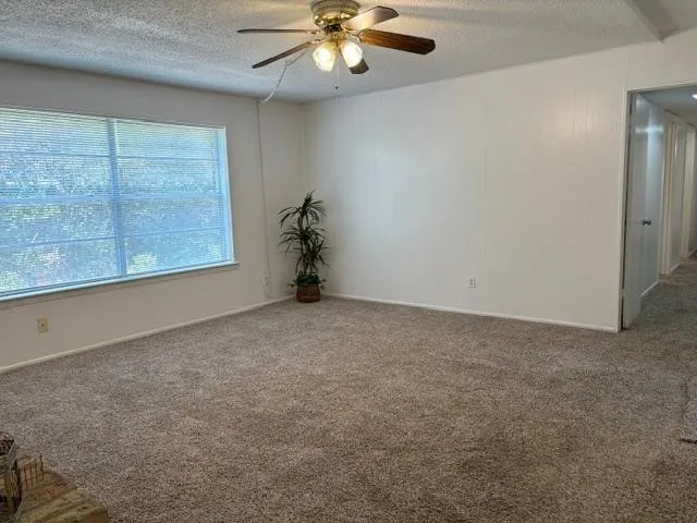 Carpeted flooring throughout, with a large window providing natural illumination, a ceiling fan with integrated lighting, and a white paneled wall
