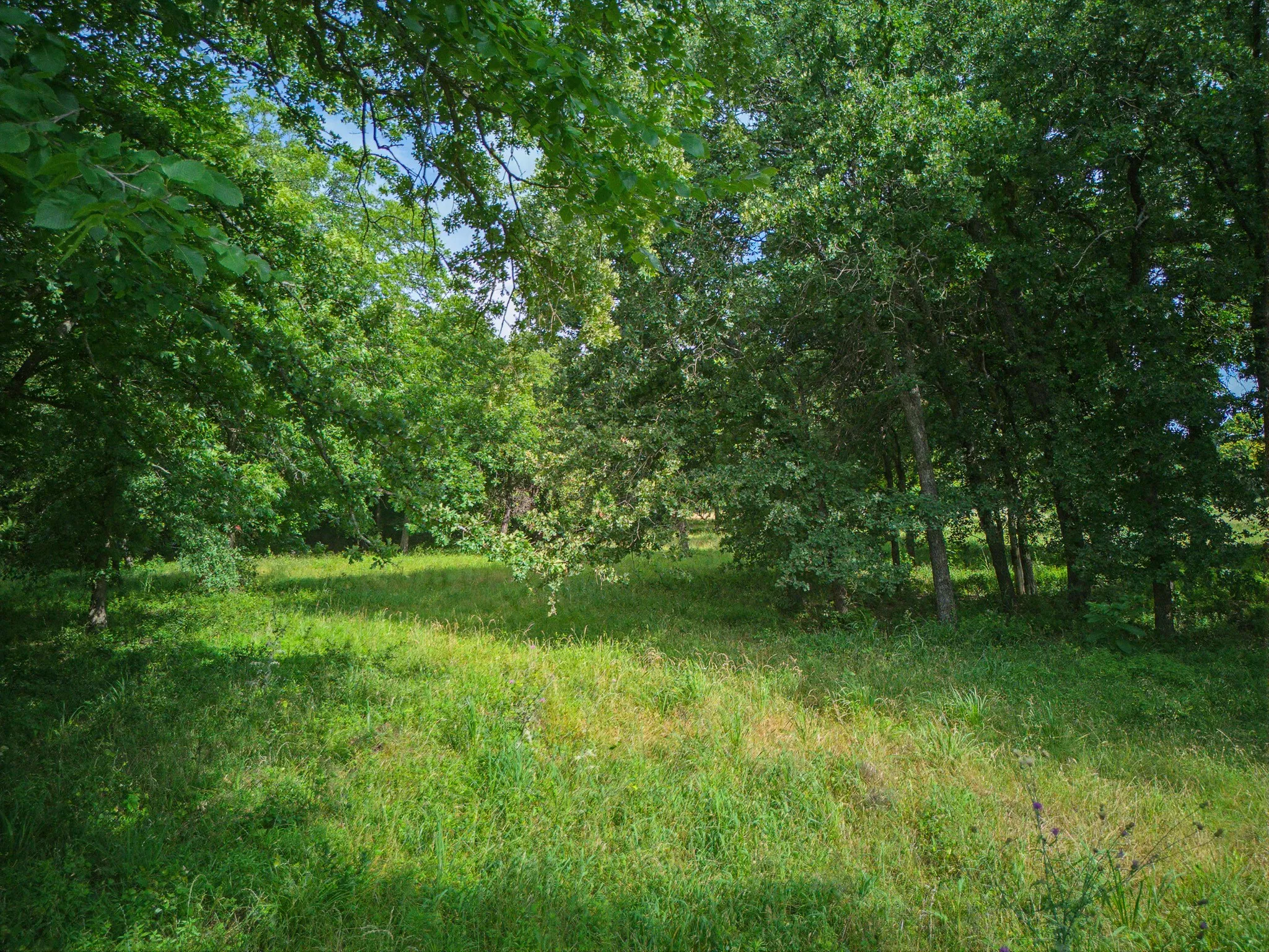 Single Family Residence For Sale in Montague County , 1857 Old Bonita Road, Nocona, Texas 76255, 3 Bedroom, 2 Bathroom, 2 Garage spaces, 3,008 Sqft, built in 2016, mls#21393393, Real Estate Agent in Nocona, Homes For Sale in Montague county, Homes For Sale in Nocona, Realtor in Nocona Texas, Real Estate Brokerage Independent Realty Texas, Luminita Cordes Realtor
