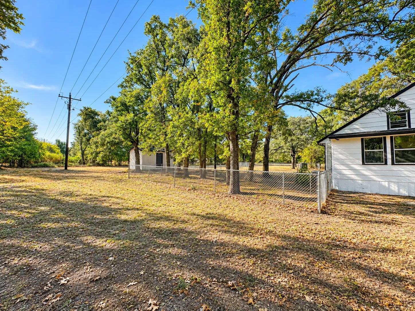 Expansive yard featuring a chain-link fence, a detached shed, and mature trees
