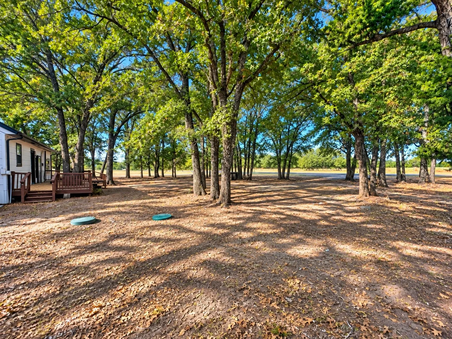Expansive outdoor space featuring mature trees, a wooden deck, and a gravel driveway