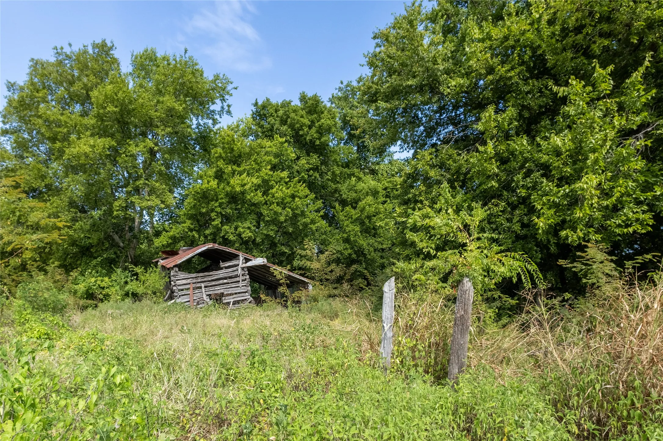 Improved Land For Sale in Fannin County , TBD 000 FM 1396, Honey Grove, Texas 75446, 0, 0, Garage spaces, 0 Sqft, built in 0, mls#21393385, Real Estate Agent in Honey Grove, Homes For Sale in Fannin county, Homes For Sale in Honey Grove, Realtor in Honey Grove Texas, Real Estate Brokerage Independent Realty Texas, Luminita Cordes Realtor