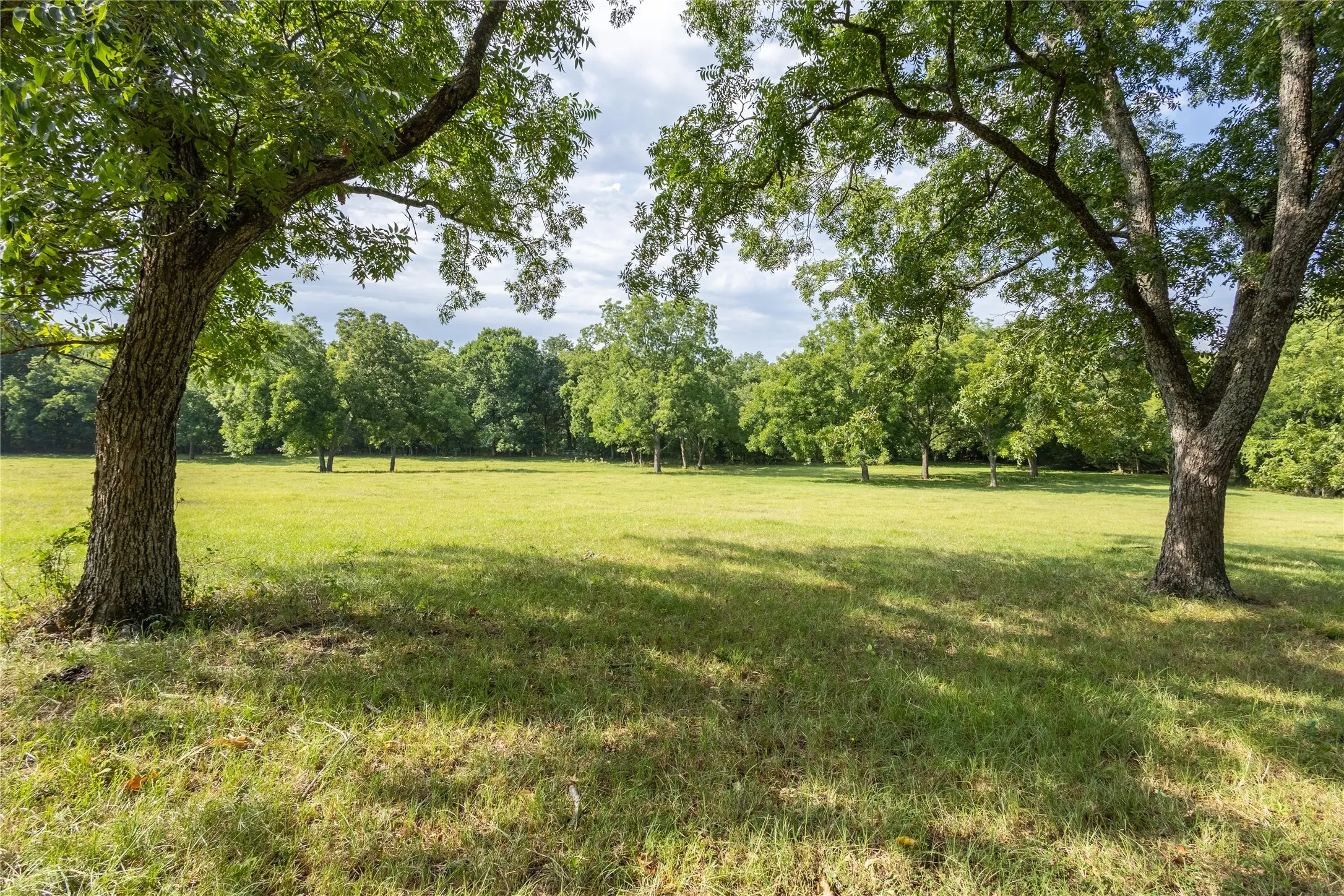 Improved Land For Sale in Fannin County , TBD 000 FM 1396, Honey Grove, Texas 75446, 0, 0, Garage spaces, 0 Sqft, built in 0, mls#21393385, Real Estate Agent in Honey Grove, Homes For Sale in Fannin county, Homes For Sale in Honey Grove, Realtor in Honey Grove Texas, Real Estate Brokerage Independent Realty Texas, Luminita Cordes Realtor