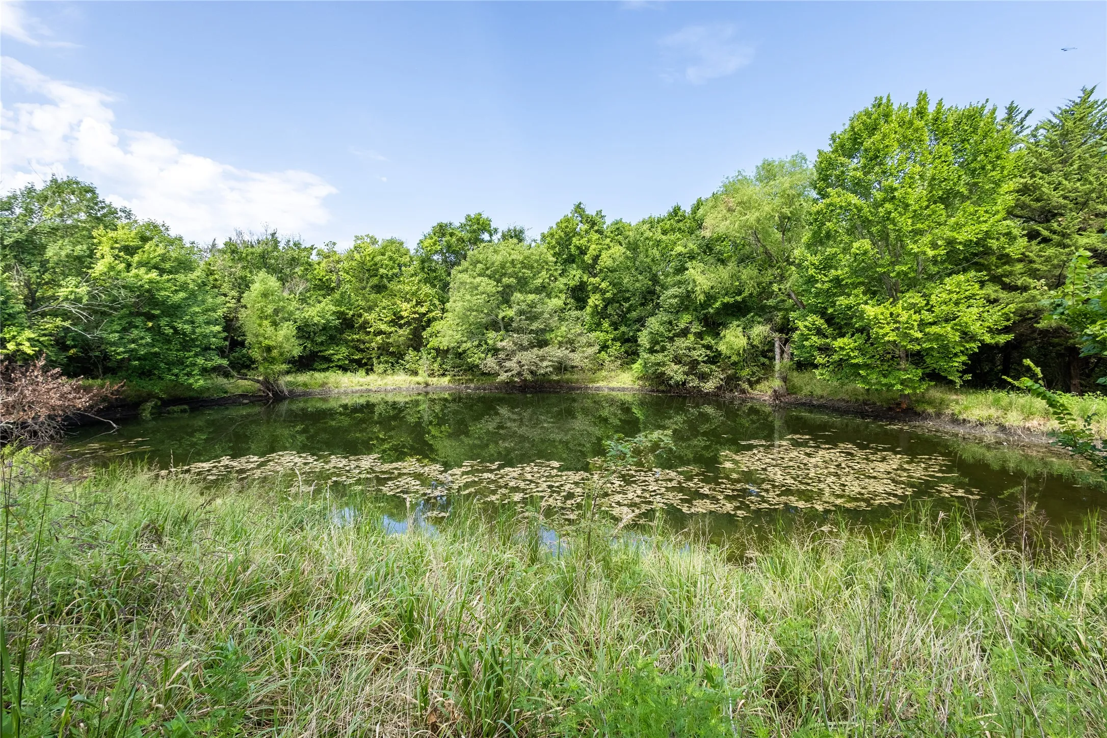 Improved Land For Sale in Fannin County , TBD 000 FM 1396, Honey Grove, Texas 75446, 0, 0, Garage spaces, 0 Sqft, built in 0, mls#21393385, Real Estate Agent in Honey Grove, Homes For Sale in Fannin county, Homes For Sale in Honey Grove, Realtor in Honey Grove Texas, Real Estate Brokerage Independent Realty Texas, Luminita Cordes Realtor