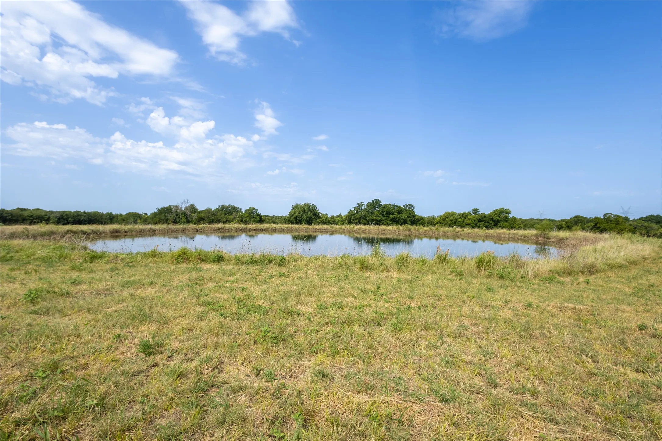 Improved Land For Sale in Fannin County , TBD 000 FM 1396, Honey Grove, Texas 75446, 0, 0, Garage spaces, 0 Sqft, built in 0, mls#21393385, Real Estate Agent in Honey Grove, Homes For Sale in Fannin county, Homes For Sale in Honey Grove, Realtor in Honey Grove Texas, Real Estate Brokerage Independent Realty Texas, Luminita Cordes Realtor