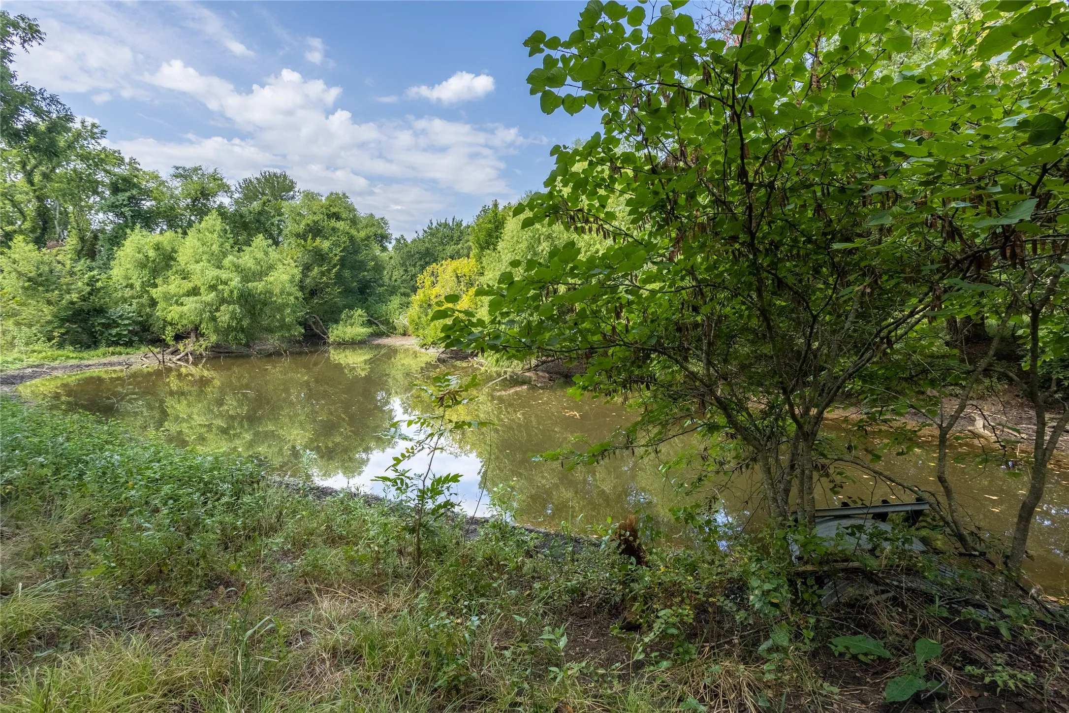 Improved Land For Sale in Fannin County , TBD 000 FM 1396, Honey Grove, Texas 75446, 0, 0, Garage spaces, 0 Sqft, built in 0, mls#21393385, Real Estate Agent in Honey Grove, Homes For Sale in Fannin county, Homes For Sale in Honey Grove, Realtor in Honey Grove Texas, Real Estate Brokerage Independent Realty Texas, Luminita Cordes Realtor