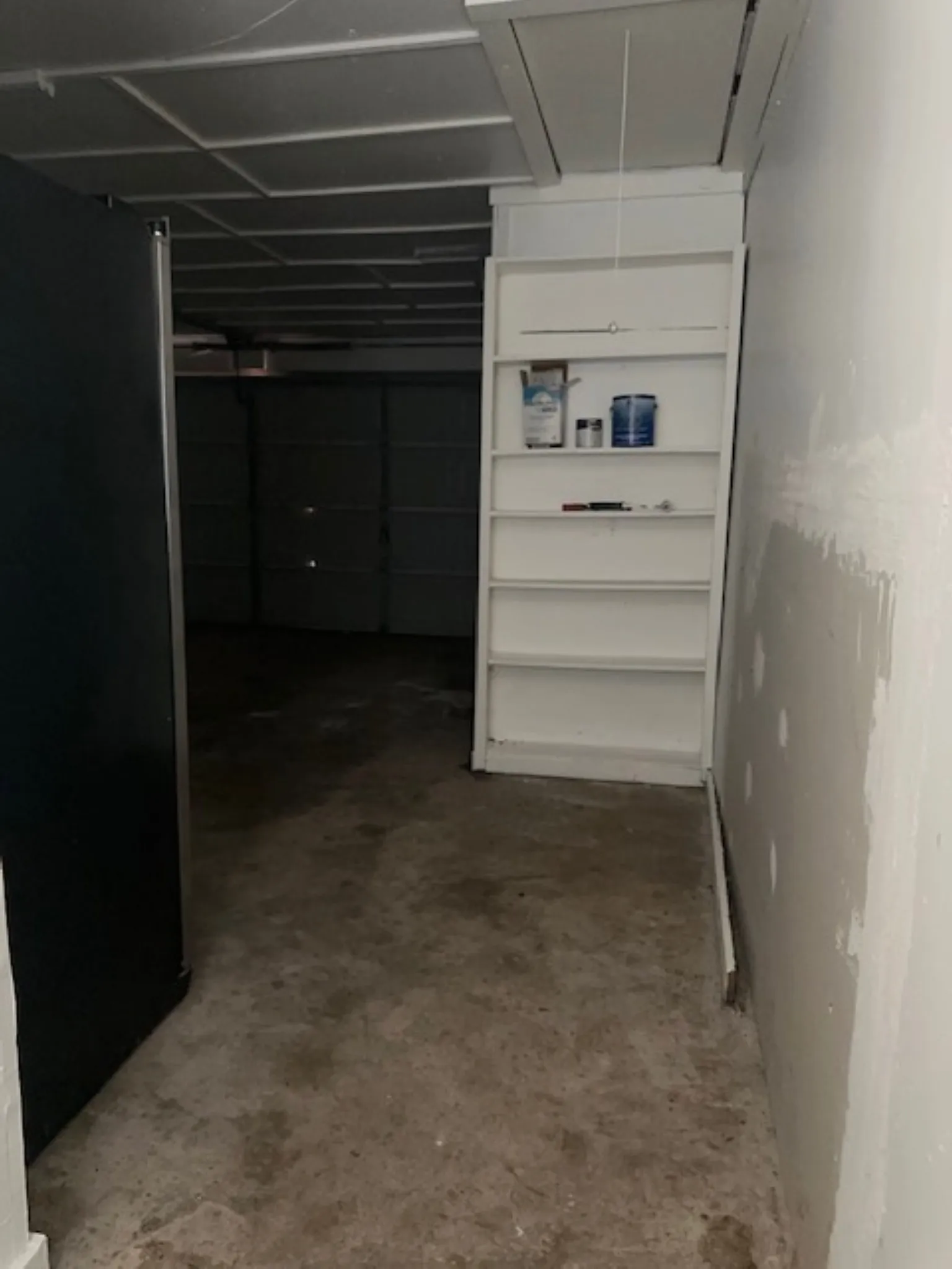 Garage shevles going into garage