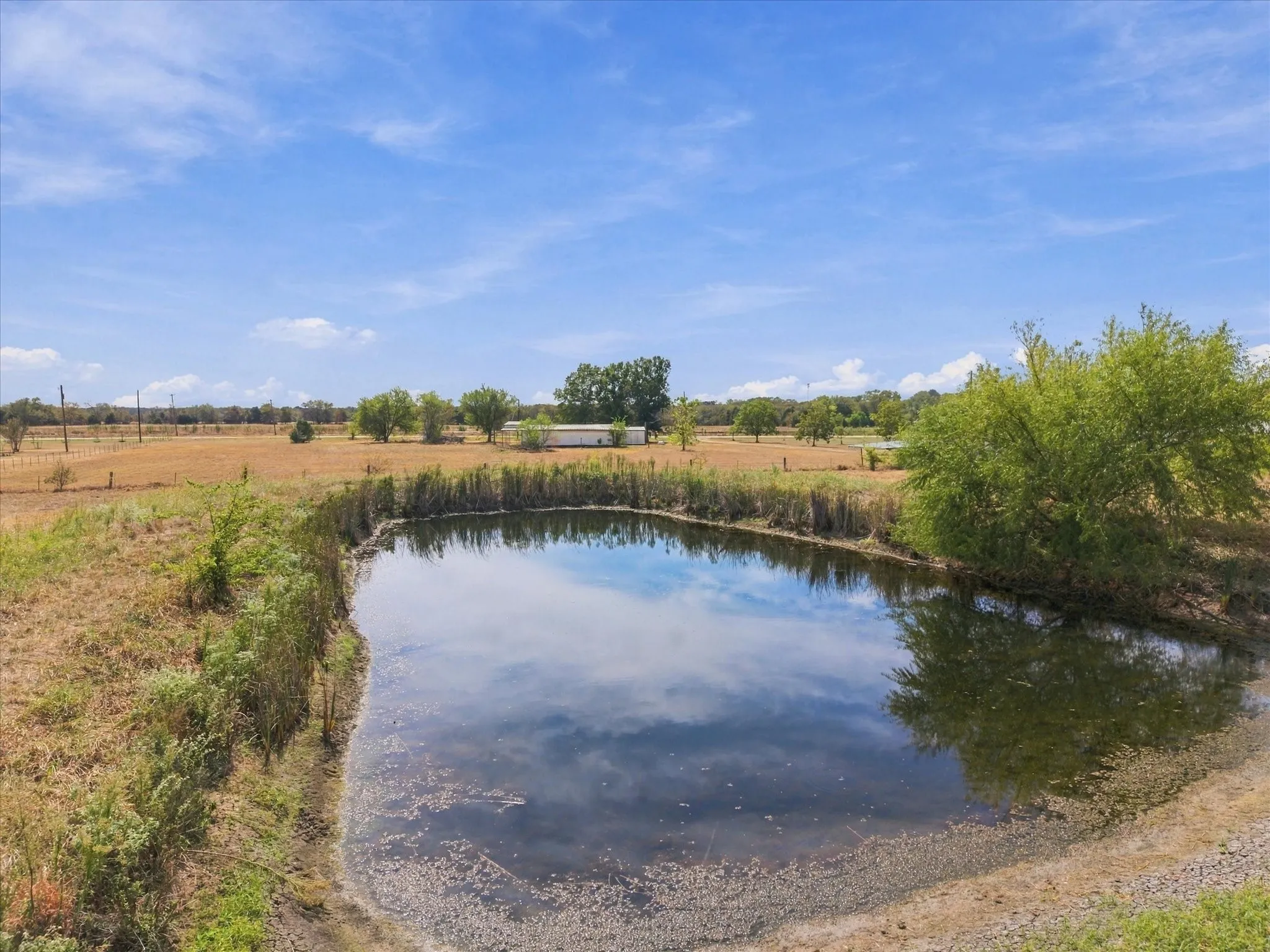 Mobile Home For Sale in Hunt County , 1311 E Main Street, Campbell, Texas 75422, 2 Bedroom, 1 Bathroom, Garage spaces, 1,044 Sqft, built in 1984, mls#21393196, Real Estate Agent in Campbell, Homes For Sale in Hunt county, Homes For Sale in Campbell, Realtor in Campbell Texas, Real Estate Brokerage Independent Realty Texas, Luminita Cordes Realtor