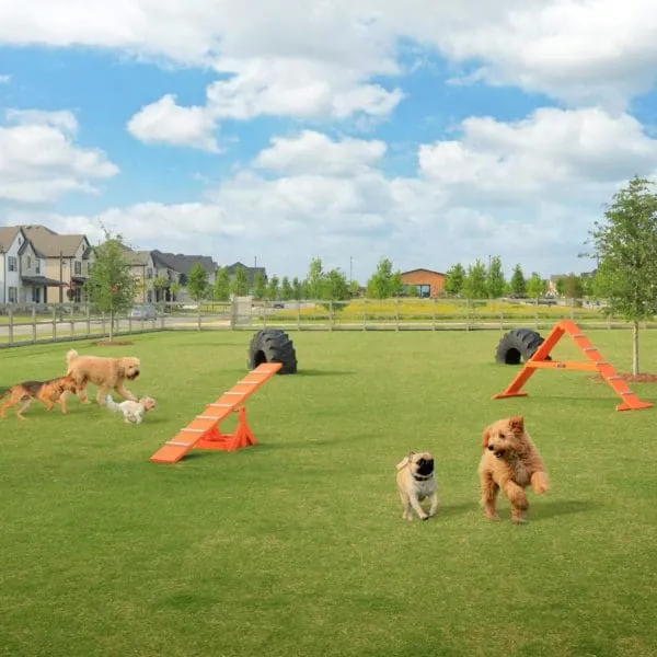 Community Dog Park