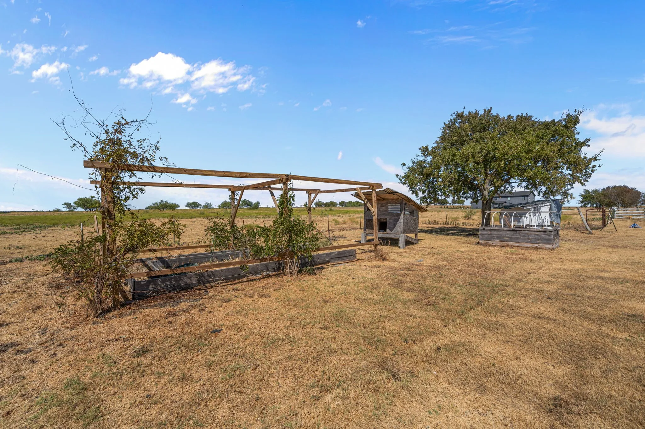 Back yard with gardens and chicken coops