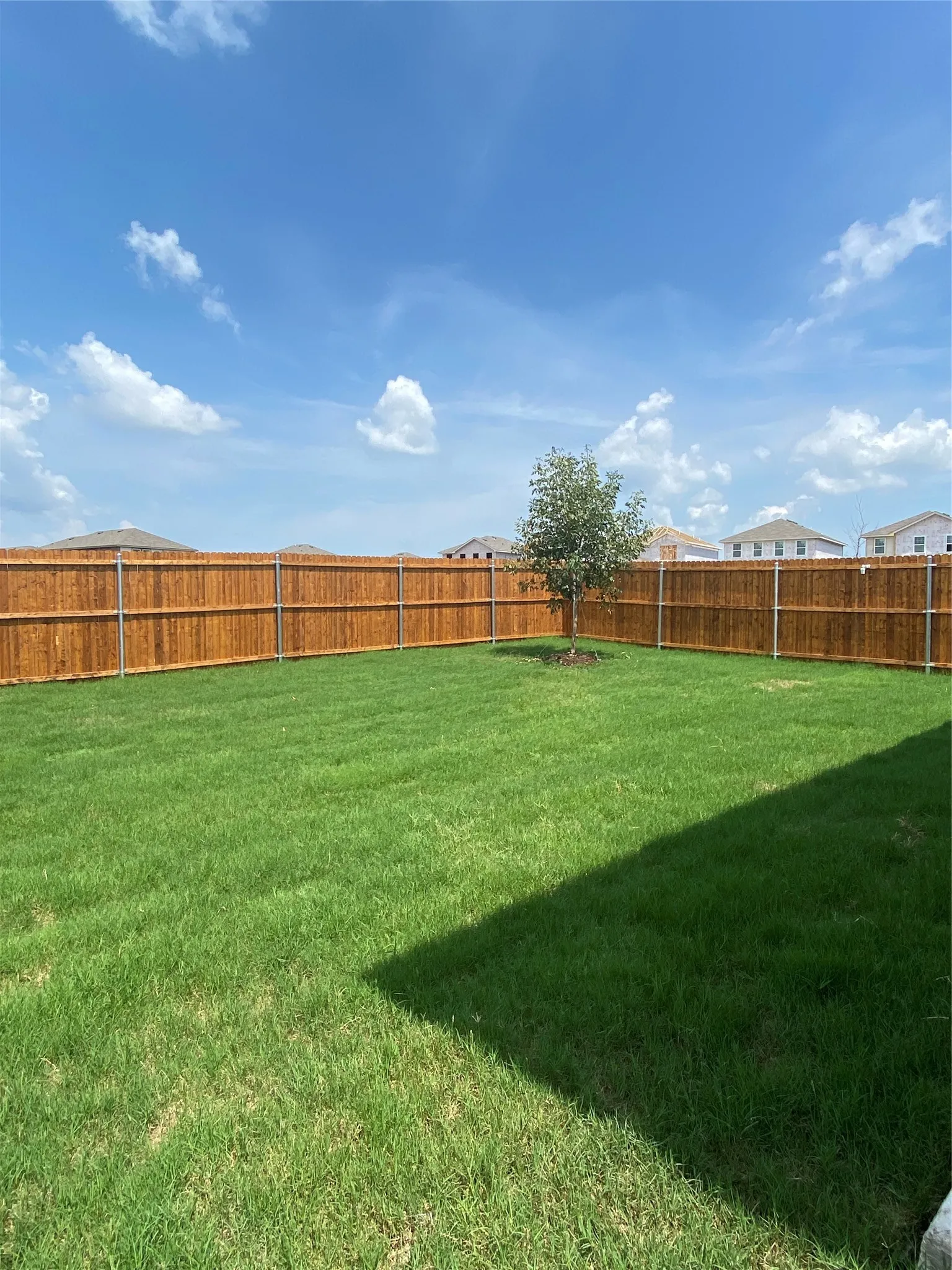 Single Family Residence For Rent in Kaufman County , 6309 Tropicana Lane, Forney, Texas 75126, 3 Bedroom, 2 Bathroom, 2 Garage spaces, 1,412 Sqft, built in 2021, mls#21393485, Real Estate Agent in Forney, Homes For Rent in Kaufman county, Homes For Rent in Forney, Realtor in Forney Texas, Real Estate Brokerage Independent Realty Texas, Luminita Cordes Realtor