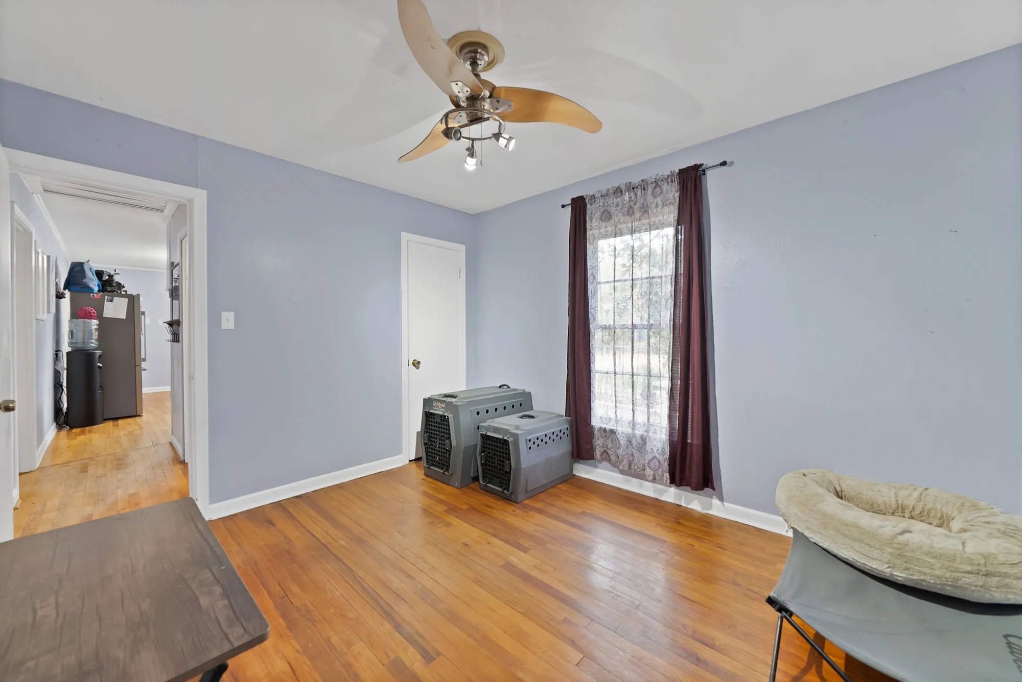 Hardwood flooring, light blue wall paint, and a ceiling fan with integrated lighting