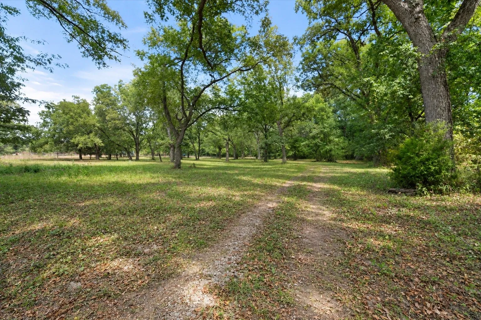 Farm For Sale in Navarro County , 225 SW County Road 0020, Corsicana, Texas 75110, 5 Bedroom, 5 Bathroom, 3 Garage spaces, 3,900 Sqft, built in 1995, mls#21389527, Real Estate Agent in Corsicana, Homes For Sale in Navarro county, Homes For Sale in Corsicana, Realtor in Corsicana Texas, Real Estate Brokerage Independent Realty Texas, Luminita Cordes Realtor