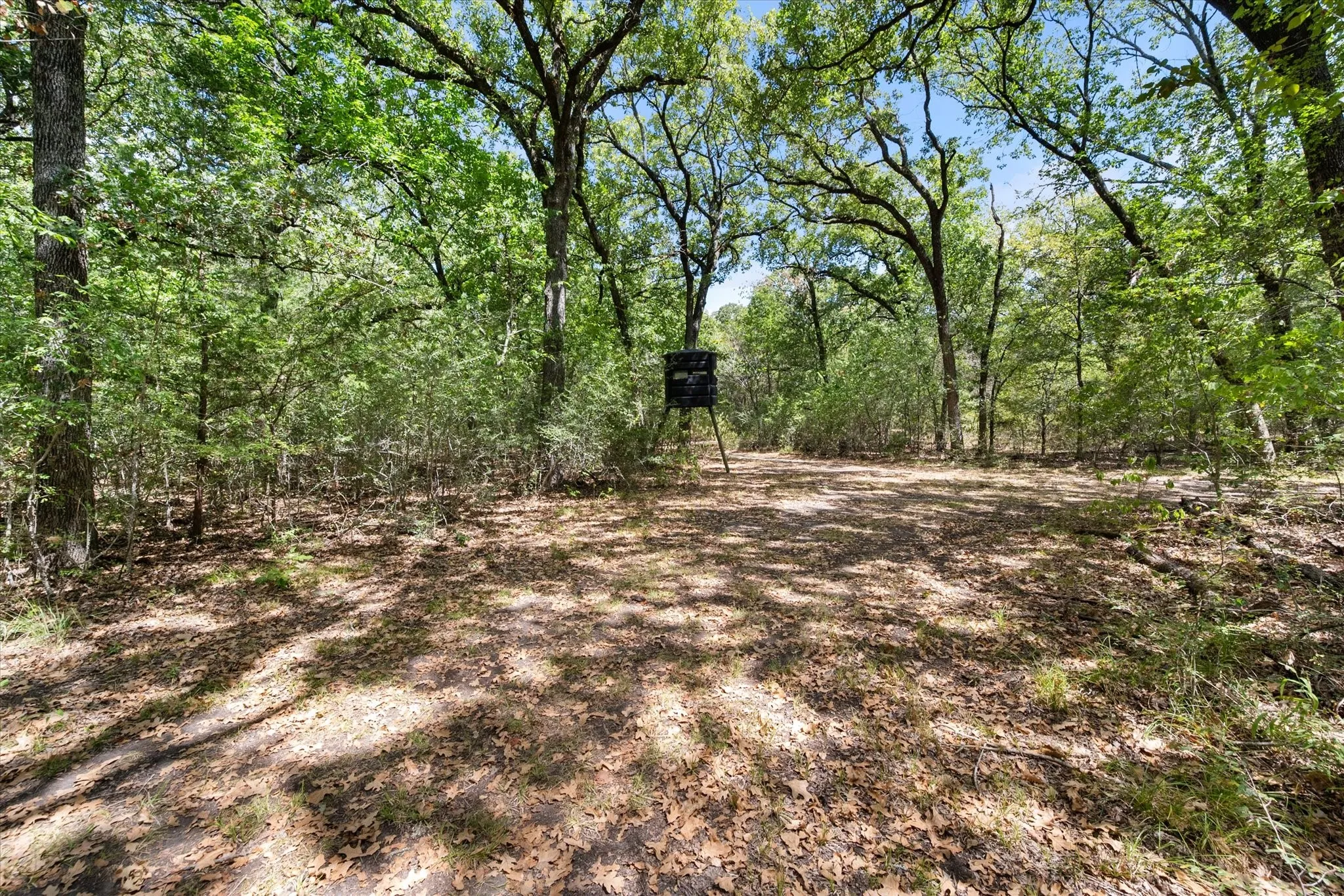 Farm For Sale in Navarro County , 225 SW County Road 0020, Corsicana, Texas 75110, 5 Bedroom, 5 Bathroom, 3 Garage spaces, 3,900 Sqft, built in 1995, mls#21389527, Real Estate Agent in Corsicana, Homes For Sale in Navarro county, Homes For Sale in Corsicana, Realtor in Corsicana Texas, Real Estate Brokerage Independent Realty Texas, Luminita Cordes Realtor