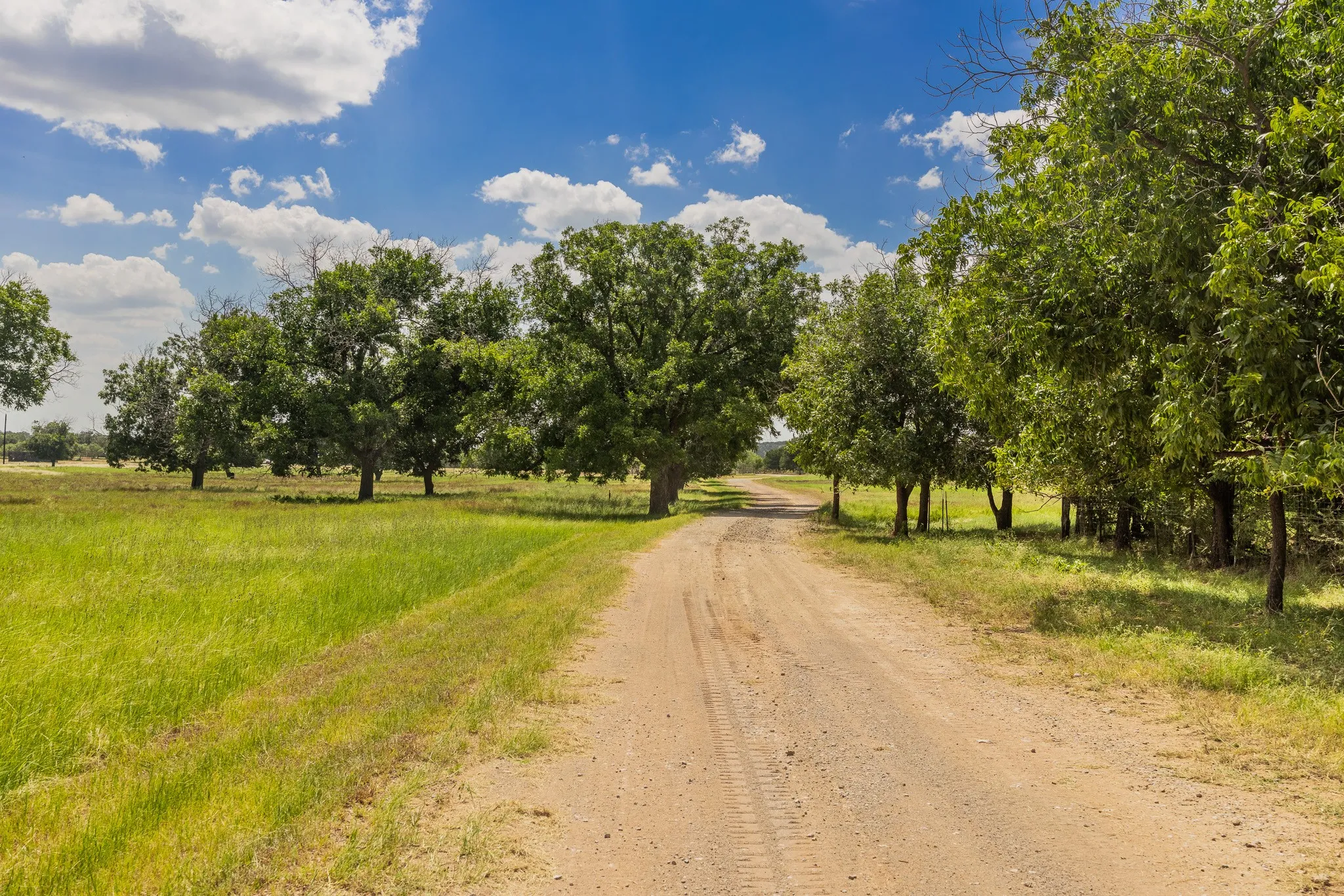 Ranch For Sale in Coleman County , 357 County Road 206, Santa Anna, Texas 76878, 0, 0, Garage spaces, 0 Sqft, built in 0, mls#21393556, Real Estate Agent in Santa Anna, Homes For Sale in Coleman county, Homes For Sale in Santa Anna, Realtor in Santa Anna Texas, Real Estate Brokerage Independent Realty Texas, Luminita Cordes Realtor