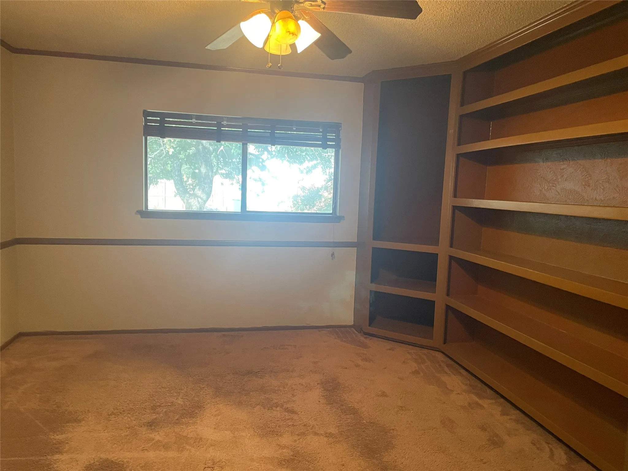Single Family Residence For Rent in Tarrant County , 1807 Chittam Drive, Euless, Texas 76039, 3 Bedroom, 2 Bathroom, 2 Garage spaces, 1,853 Sqft, built in 1983, mls#21393548, Real Estate Agent in Euless, Homes For Rent in Tarrant county, Homes For Rent in Euless, Realtor in Euless Texas, Real Estate Brokerage Independent Realty Texas, Luminita Cordes Realtor
