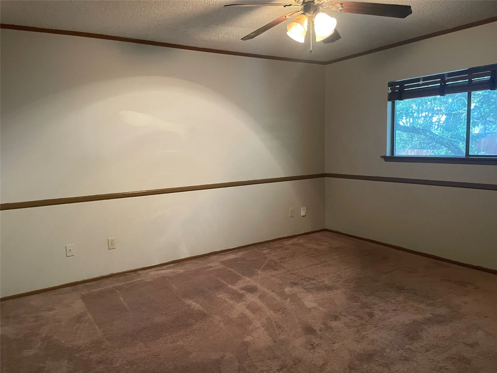 Single Family Residence For Rent in Tarrant County , 1807 Chittam Drive, Euless, Texas 76039, 3 Bedroom, 2 Bathroom, 2 Garage spaces, 1,853 Sqft, built in 1983, mls#21393548, Real Estate Agent in Euless, Homes For Rent in Tarrant county, Homes For Rent in Euless, Realtor in Euless Texas, Real Estate Brokerage Independent Realty Texas, Luminita Cordes Realtor