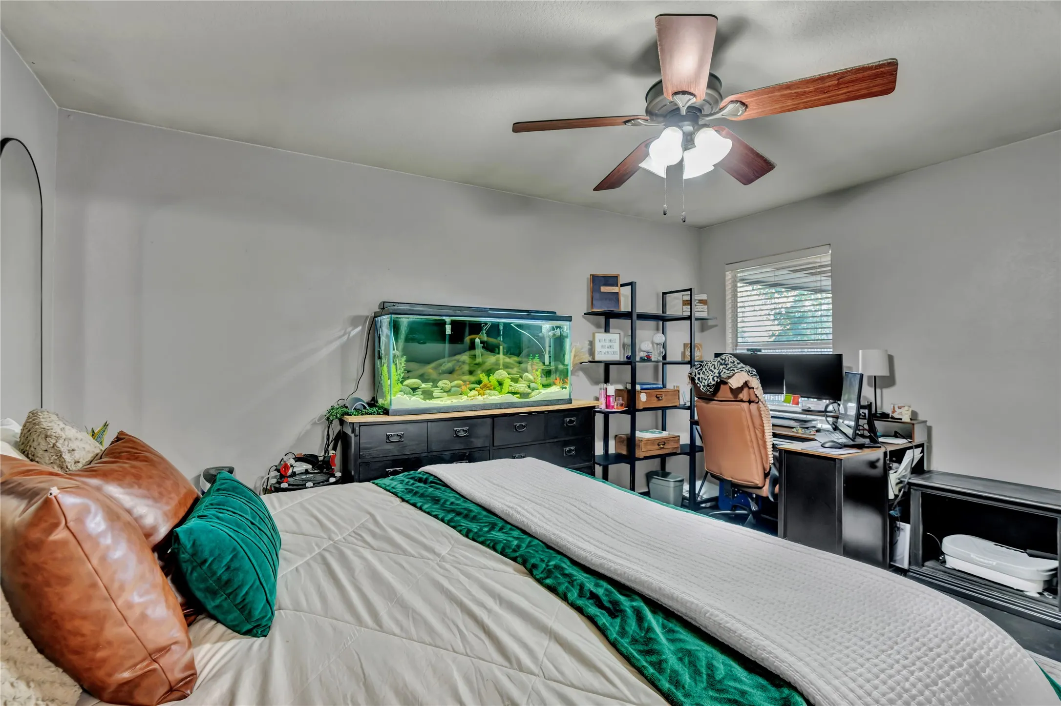 Ceiling fan with integrated lighting, window with horizontal blinds, built-in shelving, painted walls