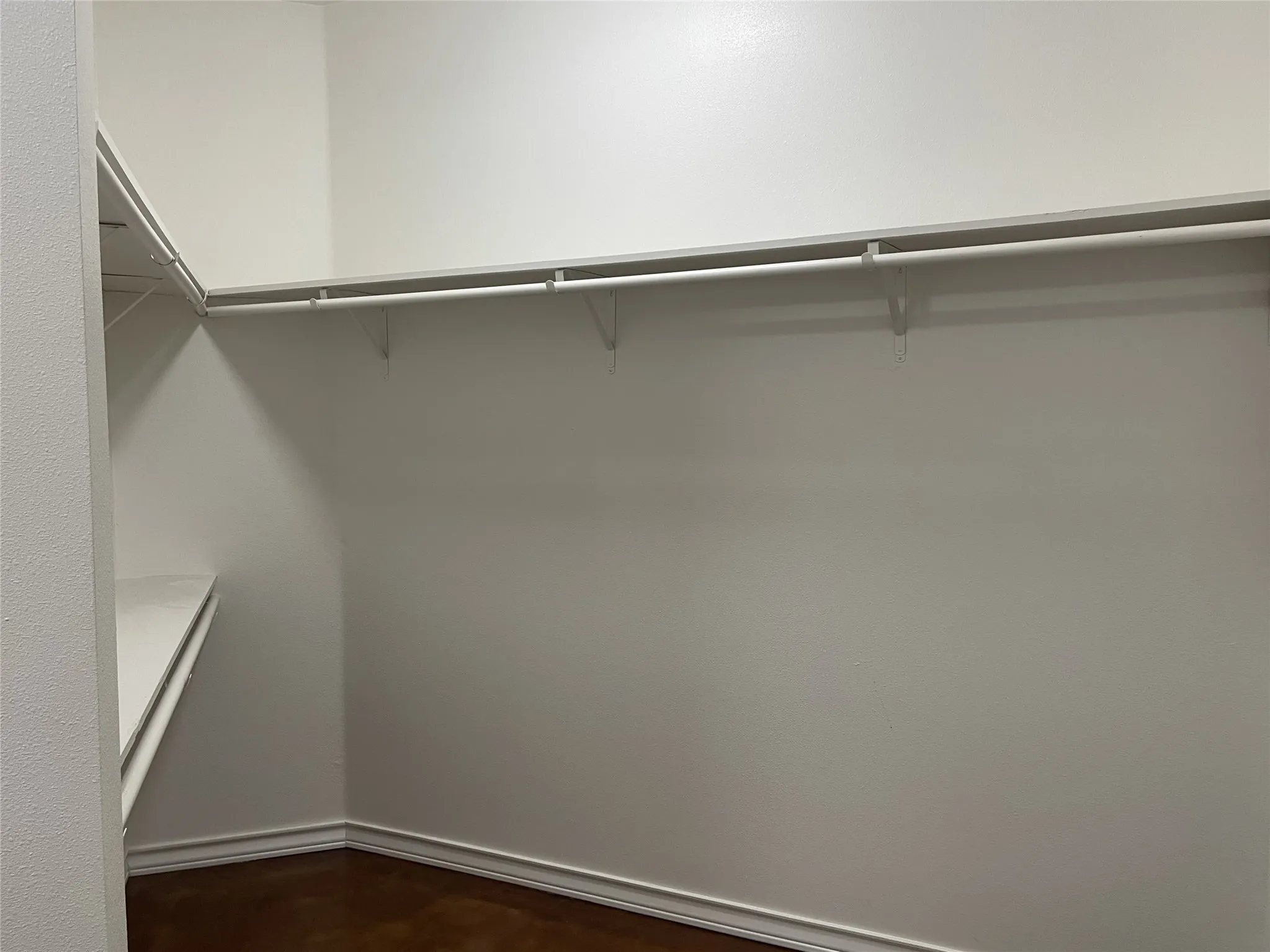 Huge Walk In Closet