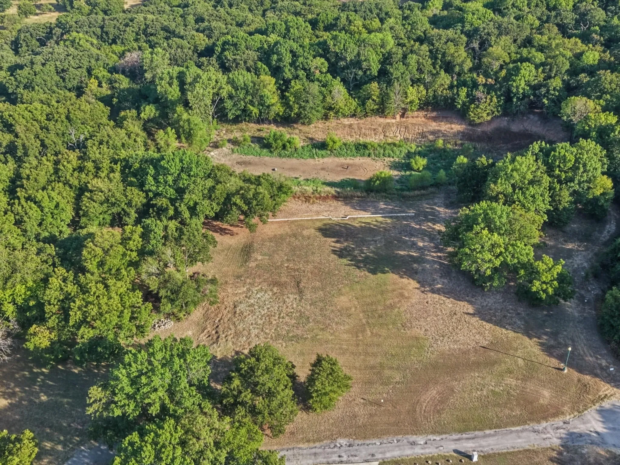 Expansive undeveloped lot with dense perimeter tree cover