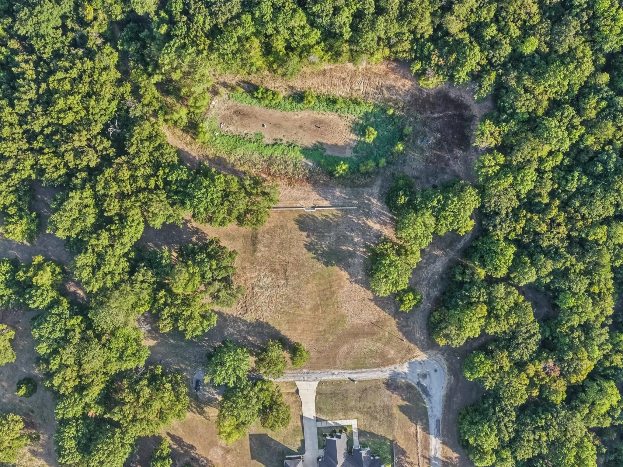 Expansive wooded lot with partial clearing, featuring a partial concrete driveway and a gravel path