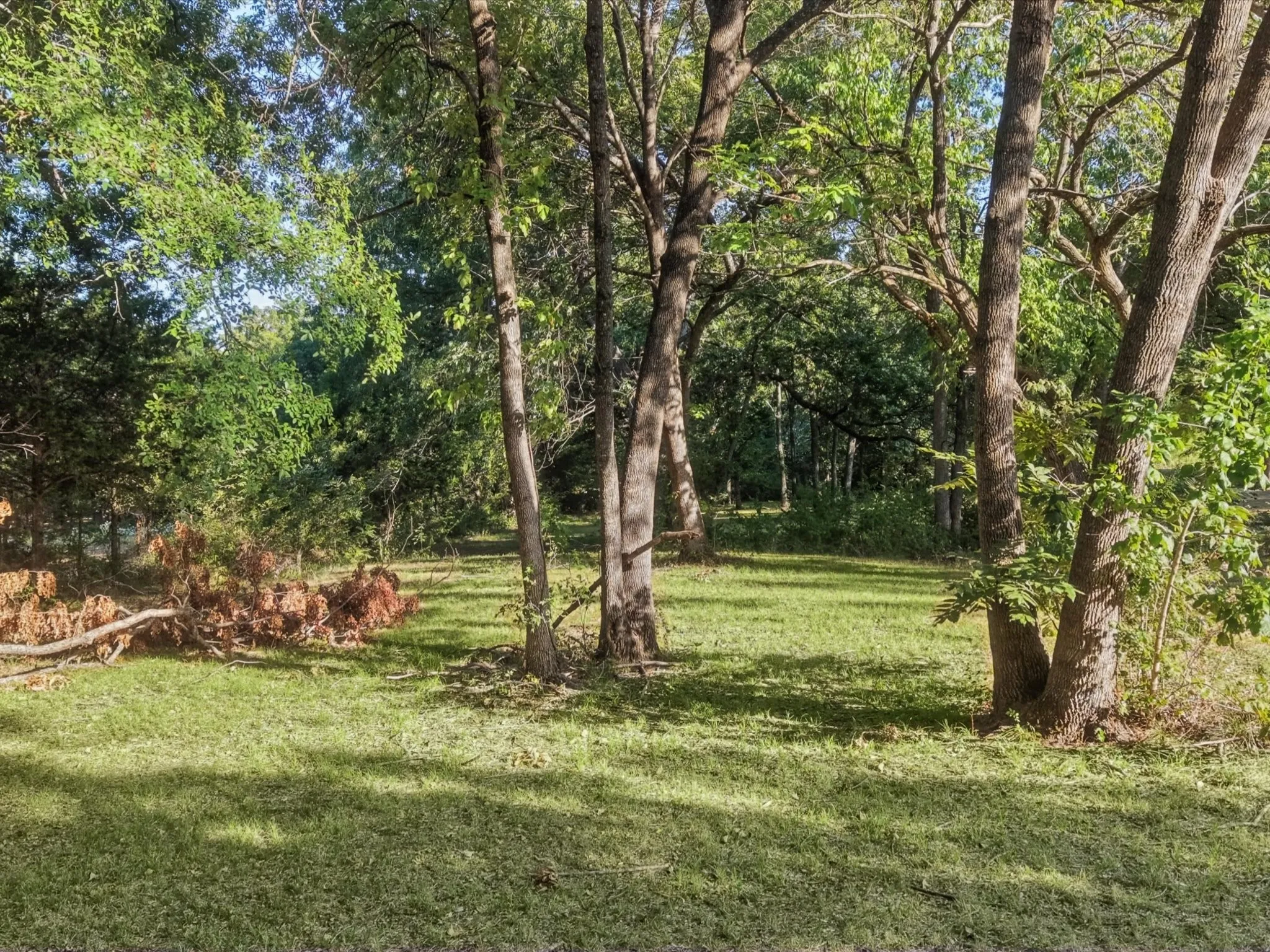 Expansive lot featuring mature trees and a substantial grassy area
