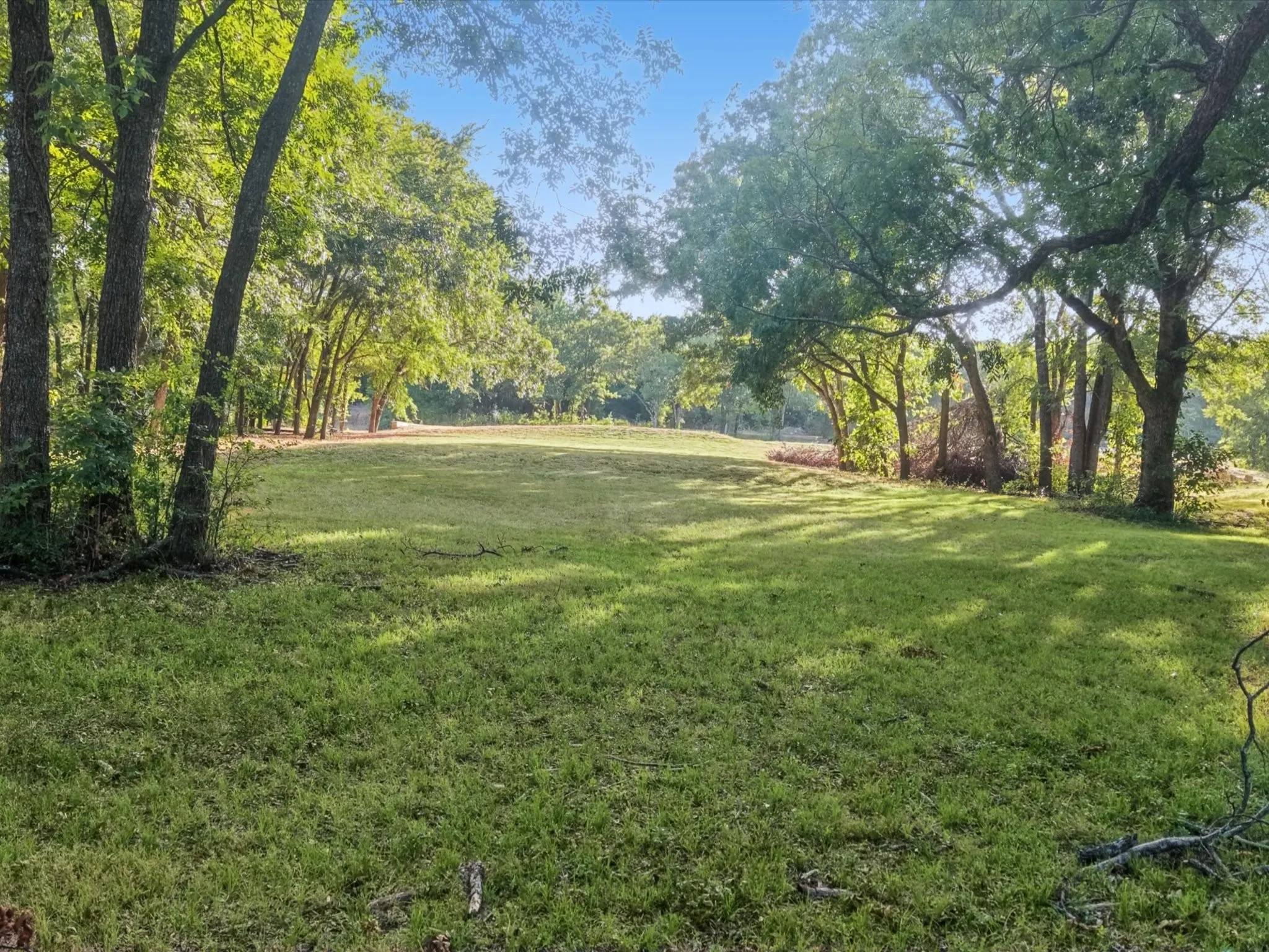Expansive grassy lot bordered by mature trees