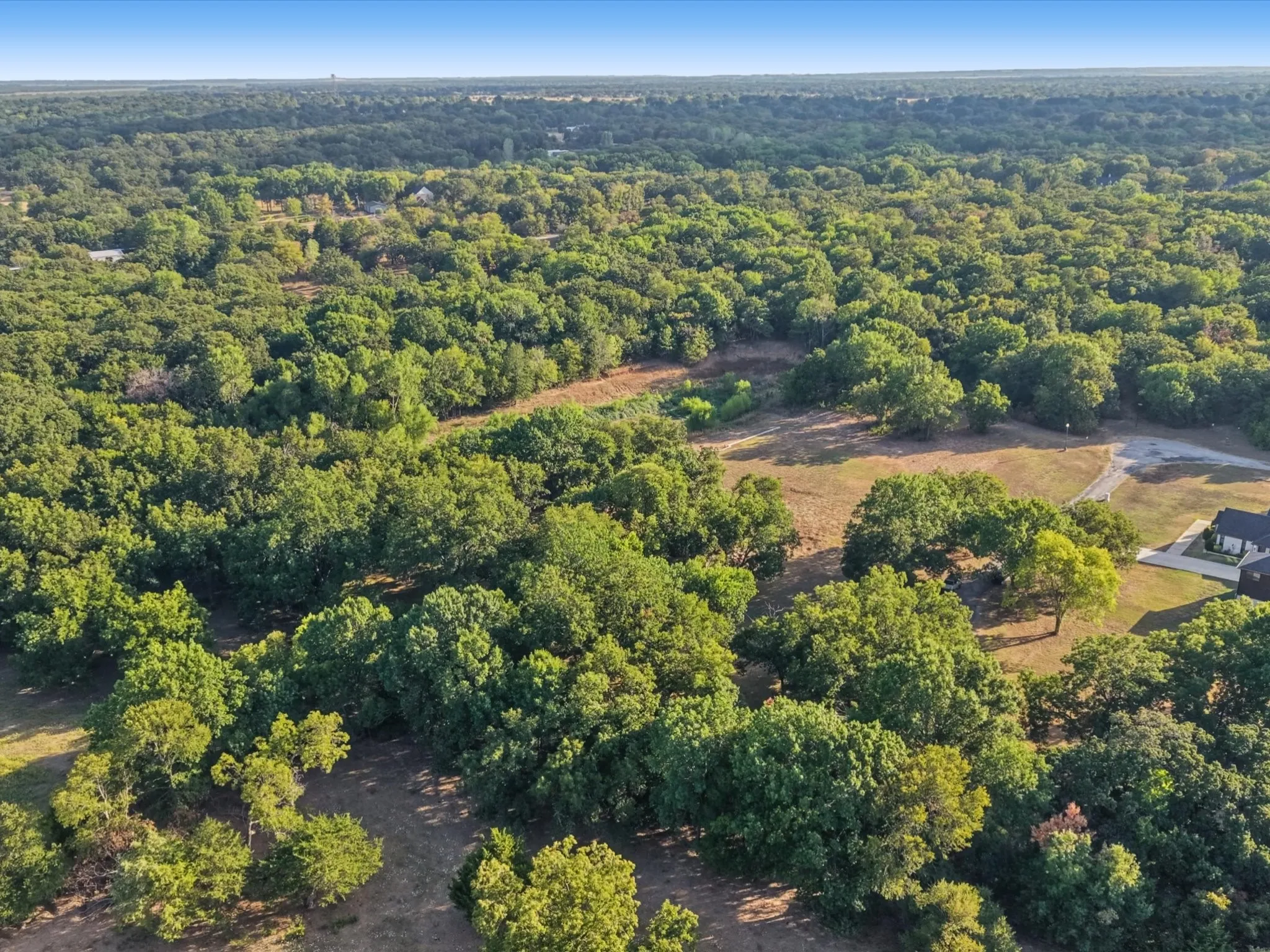 Expansive wooded acreage with a cleared building site and a gravel driveway