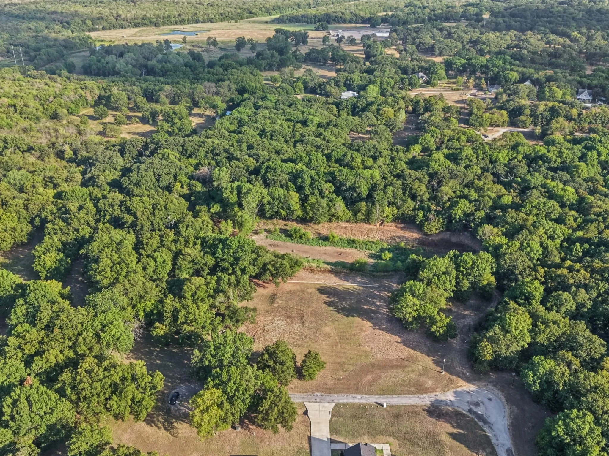 Expansive wooded acreage with a cleared building site and a developed access road