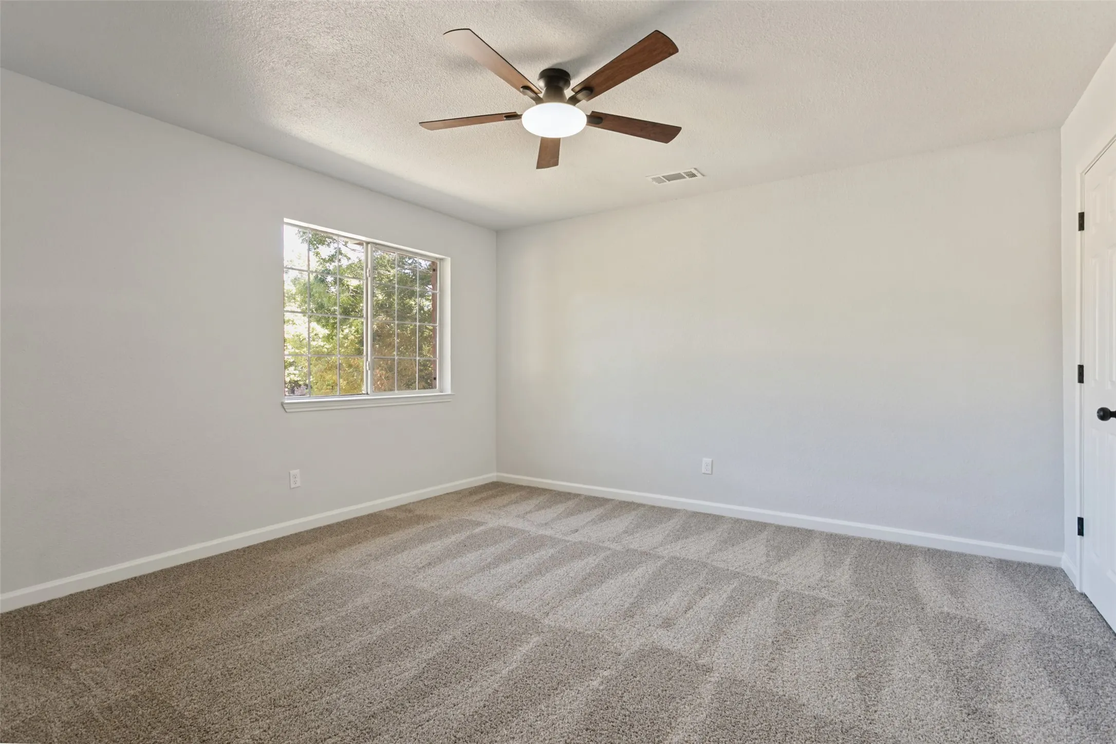 Neutral wall finishes, textured carpeting, window with natural light, ceiling fan with light fixture, and white trim