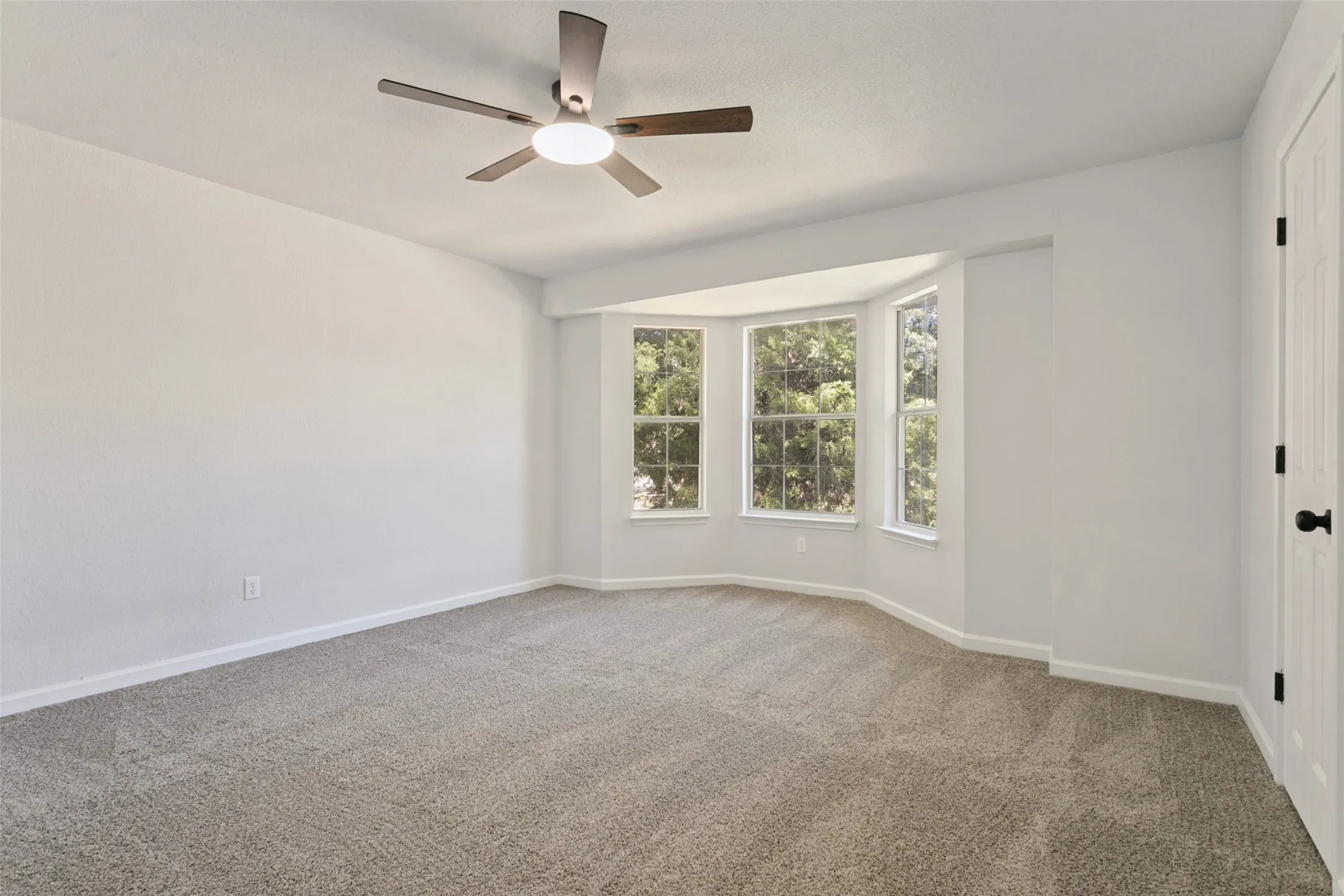 Carpeted interior with a contemporary ceiling fan, multiple windows, and a white interior door with dark hardware