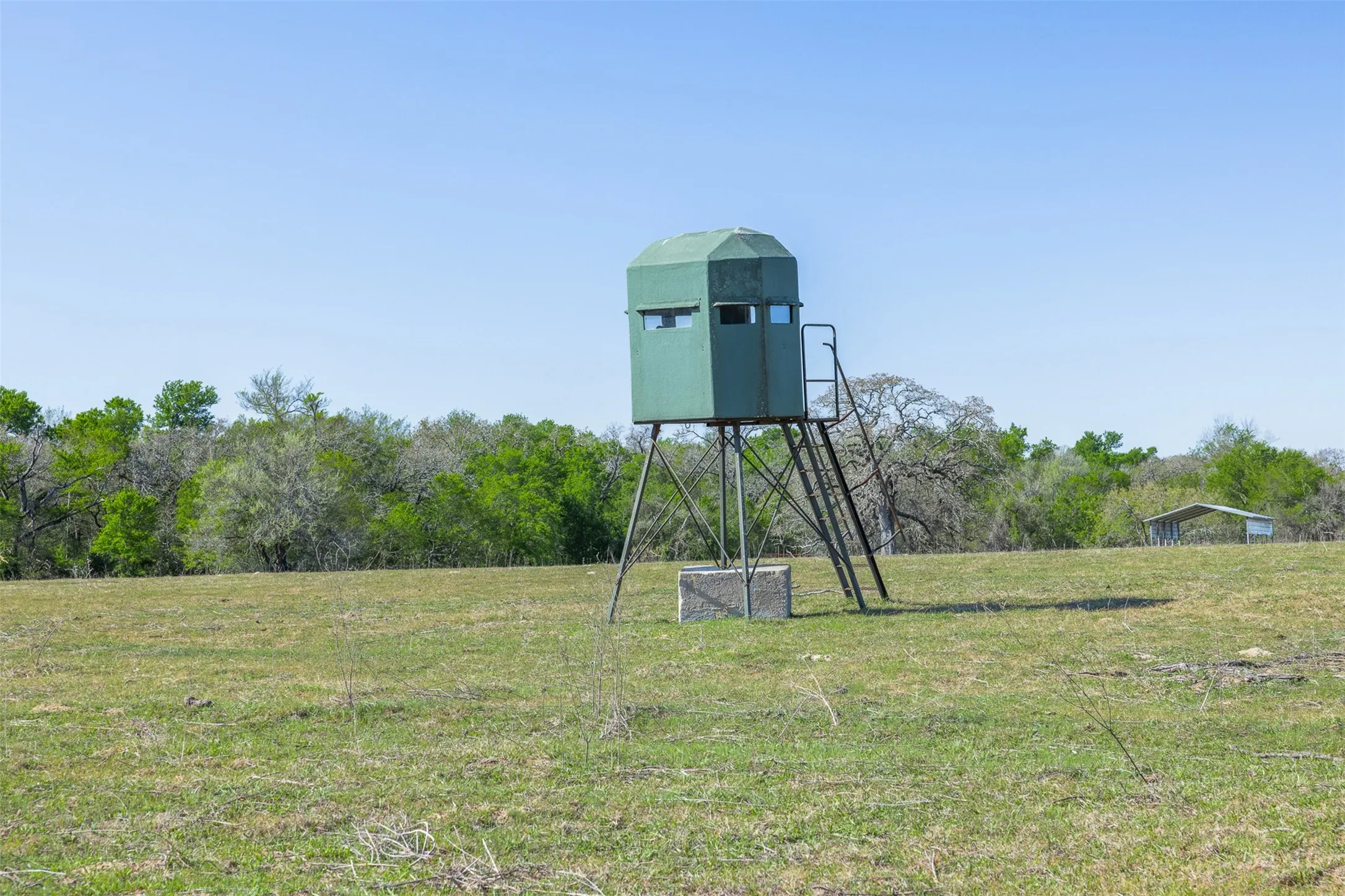 Green hunting blind with an elevated platform and ladder access